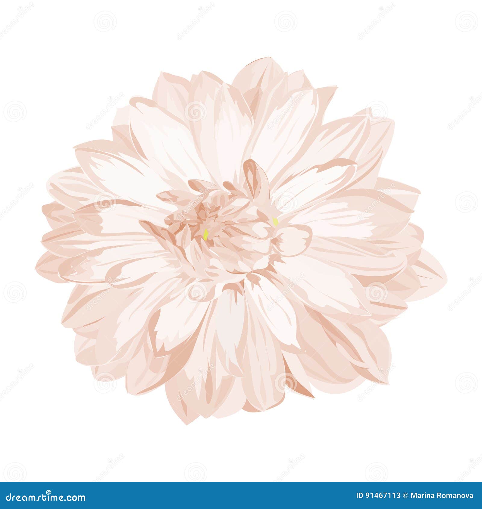 ligh pink dahlia graphic