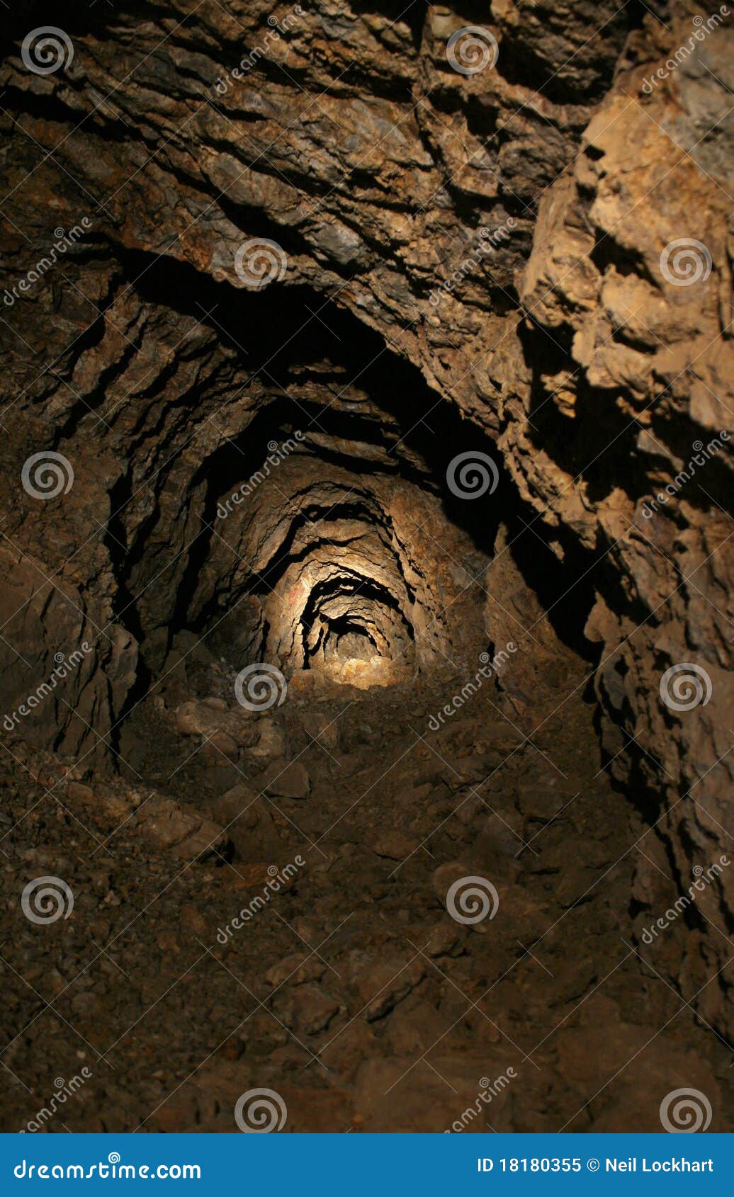 the cave and the light the cave and the light