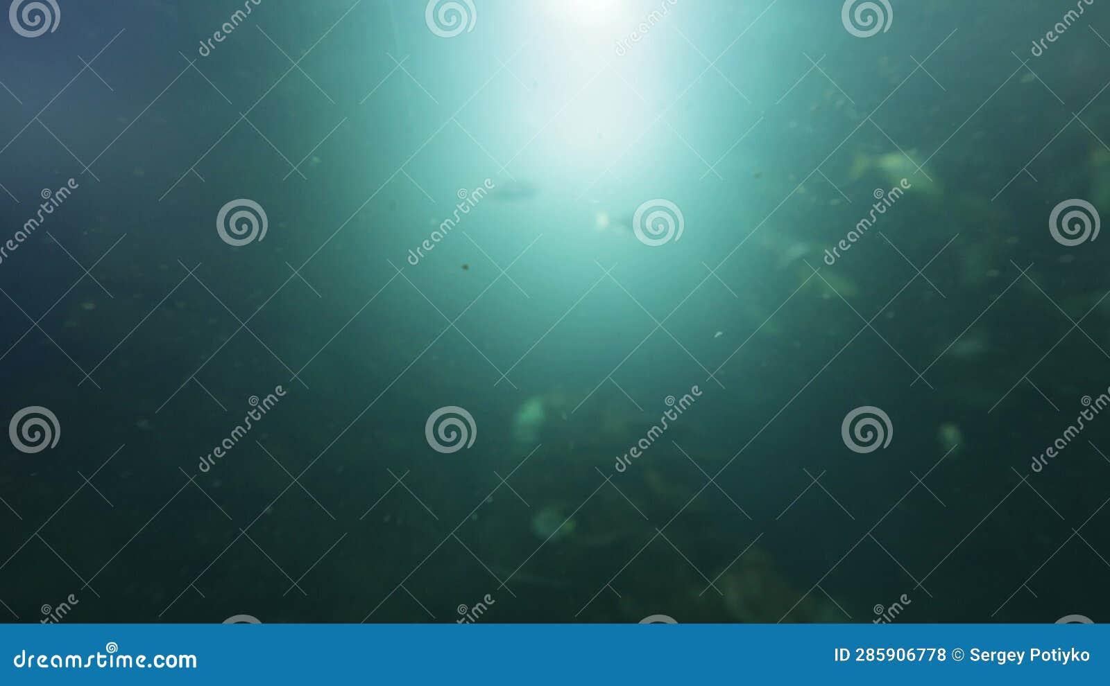 Light and Air Bubbles on the Surface of the Aquarium Stock Footage