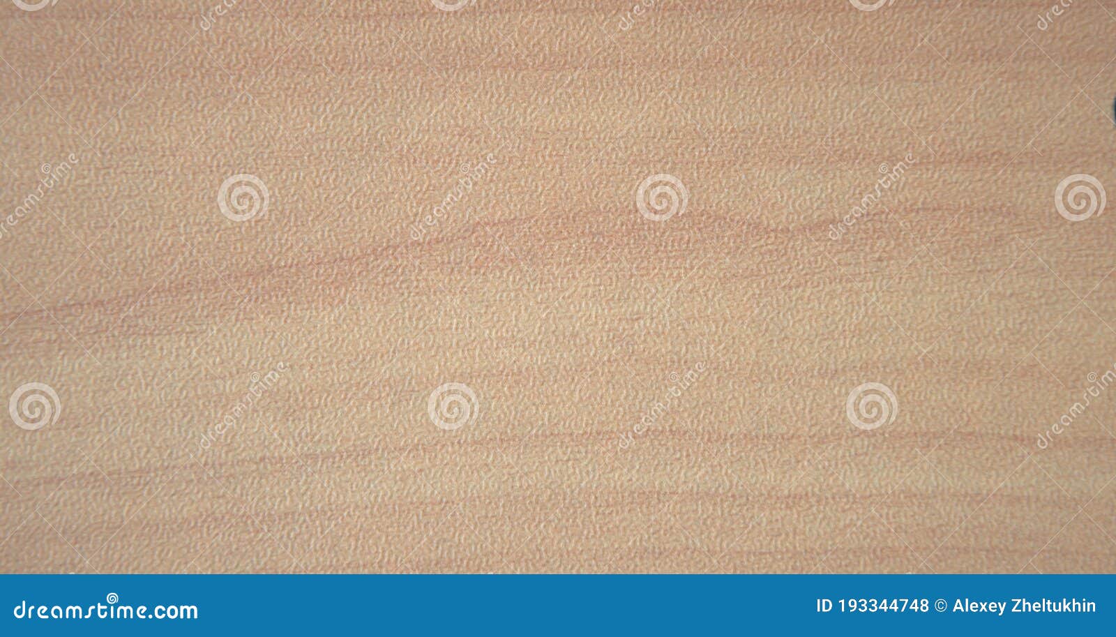 Light Beech, Rich and Textured Natural Wood Pattern Stock Photo Image