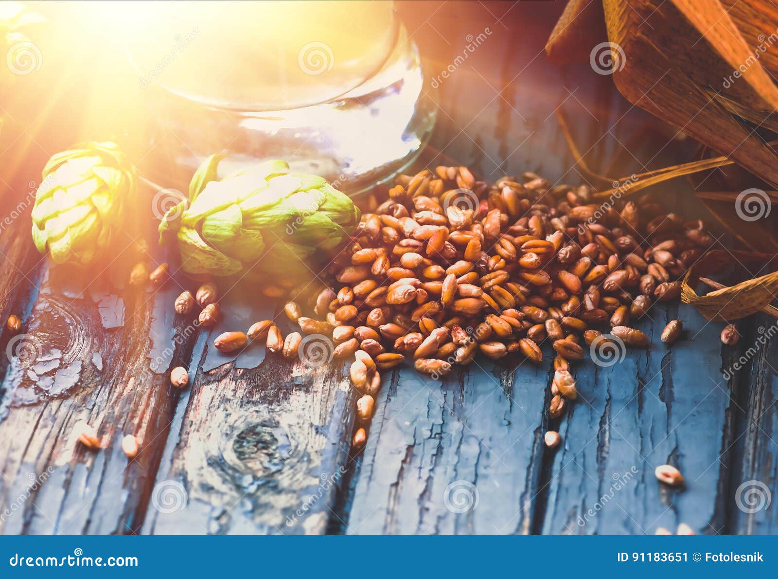 Light Beer, Malt, Hops, Barley Ears on the Table Stock Image Image of