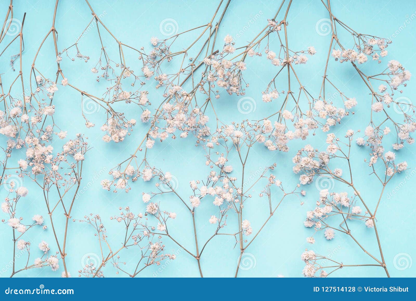 Light Blue Floral Background with White ...