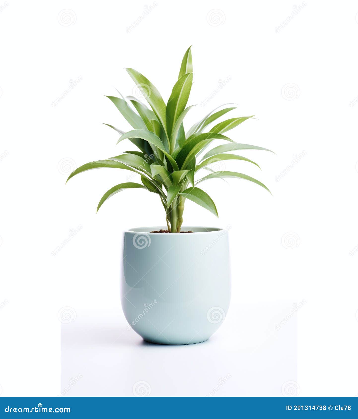 Light Blue Pot with a Plant on a White Background Stock Illustration