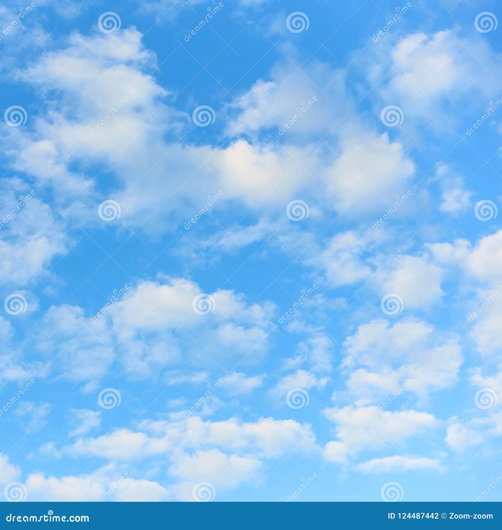 My Image 7