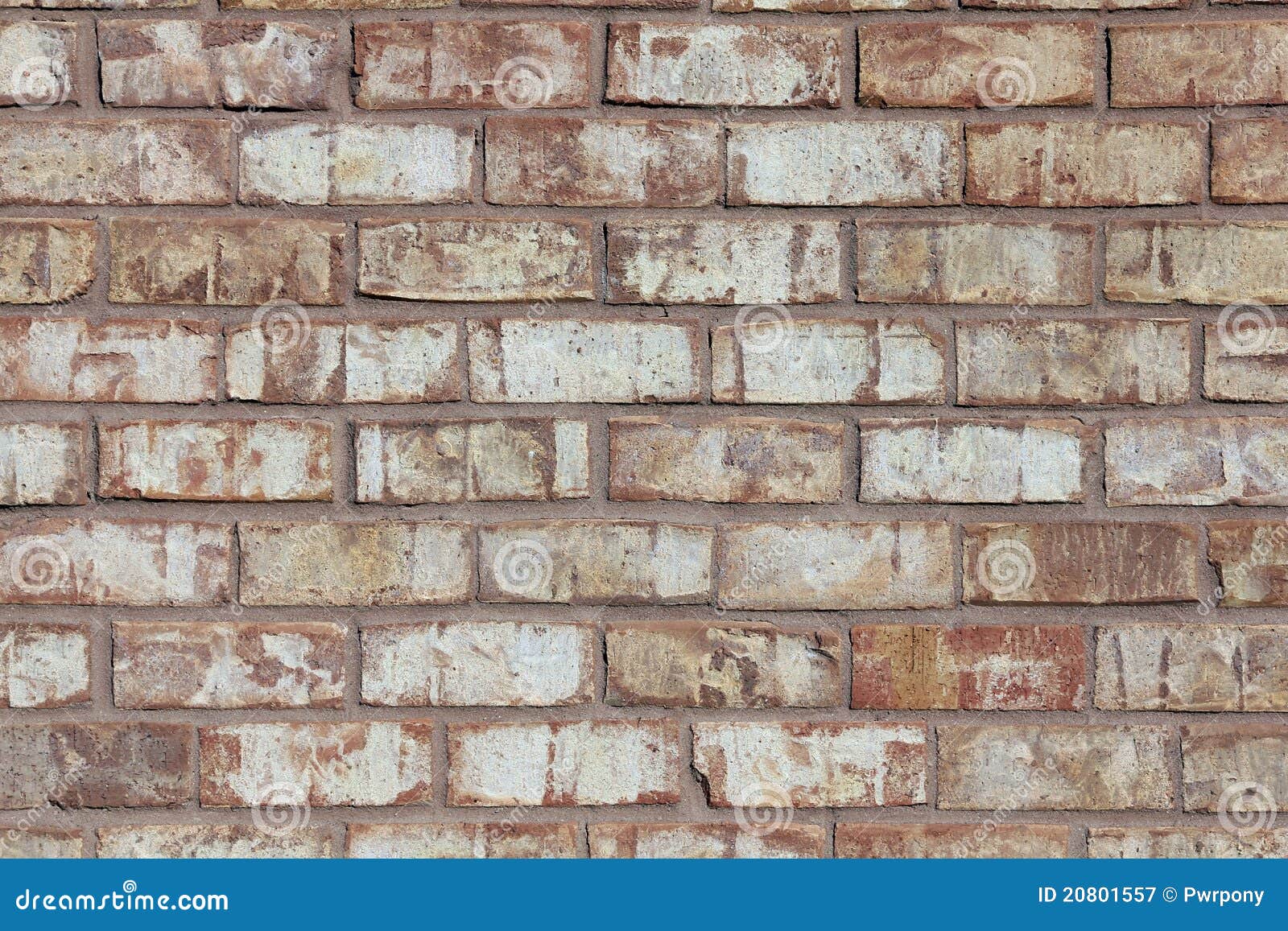 Light Brick Wall Royalty Free Stock Photography Image 20801557