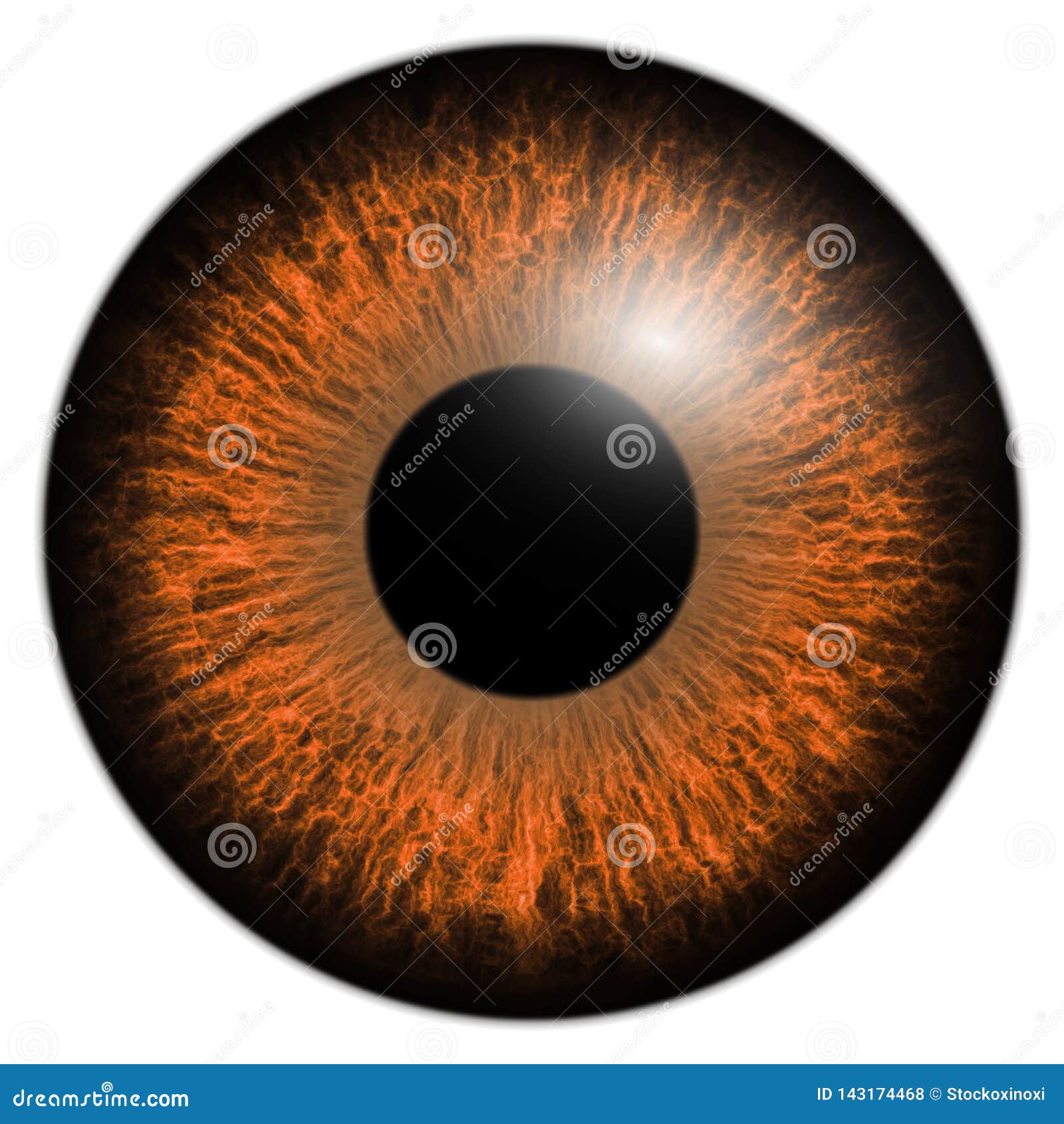 Light Brown Eye Iris Macro Illustration Stock Illustration