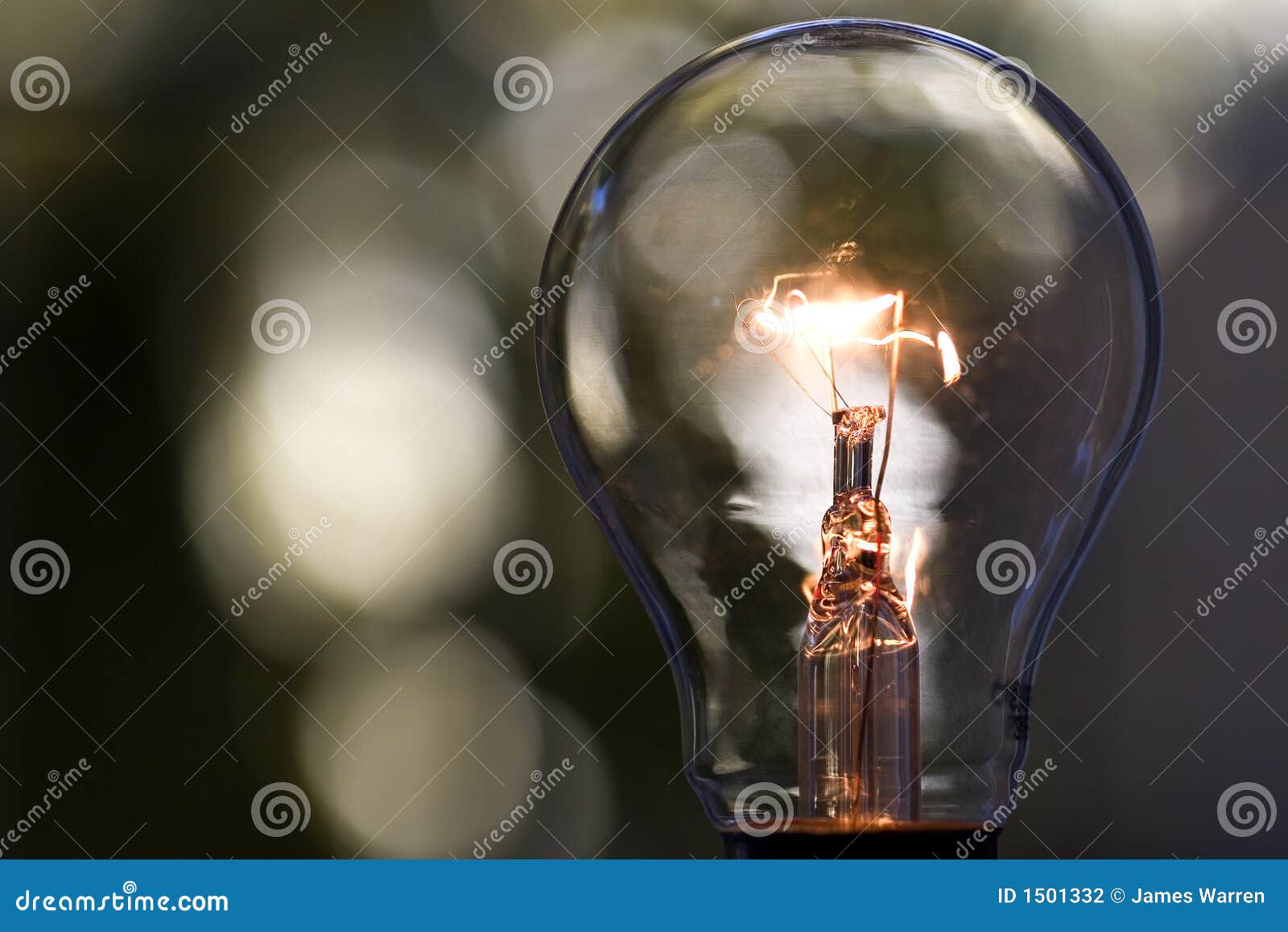 light bulb 1