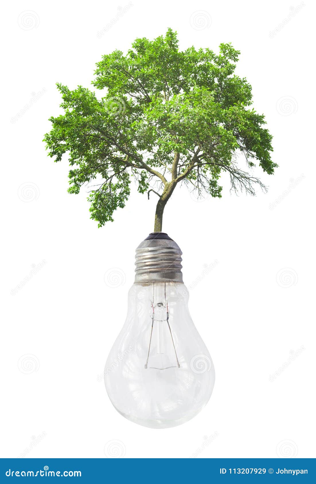 Light Bulb with Green Tree Isolated Stock Image Image of nature, ecology 113207929