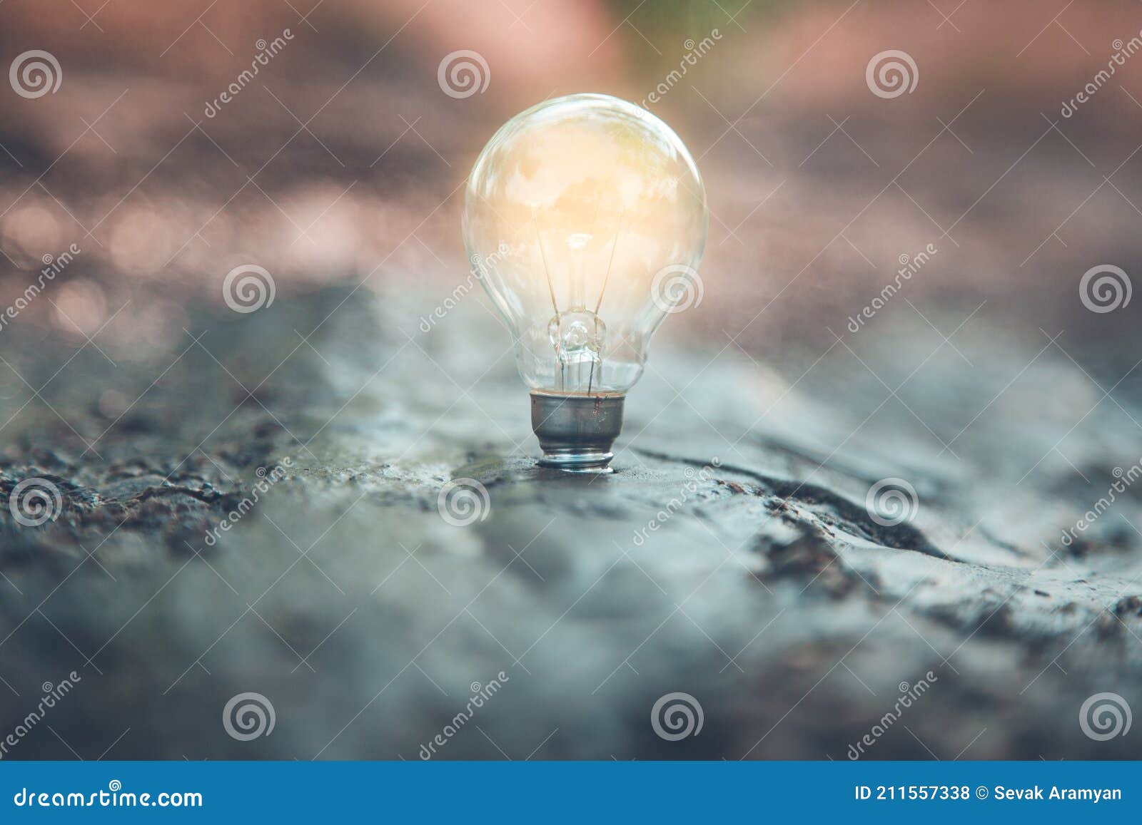 Light bulb on the ground stock photo. Image of symbol 211557338