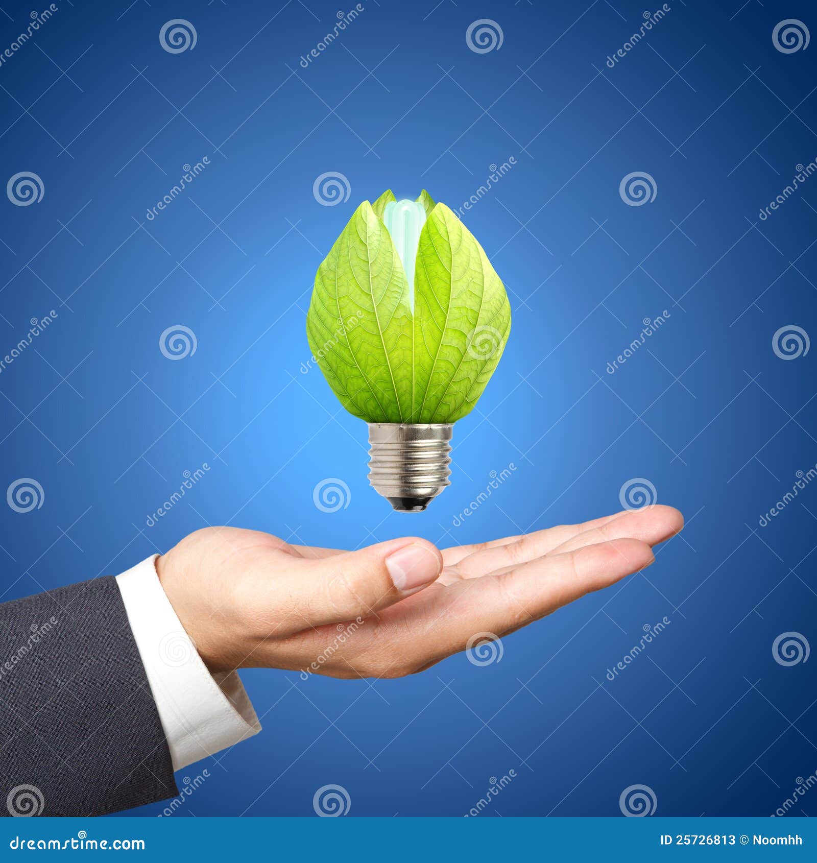 Light Bulbs on Business Hand Stock Image Image of innovation, private