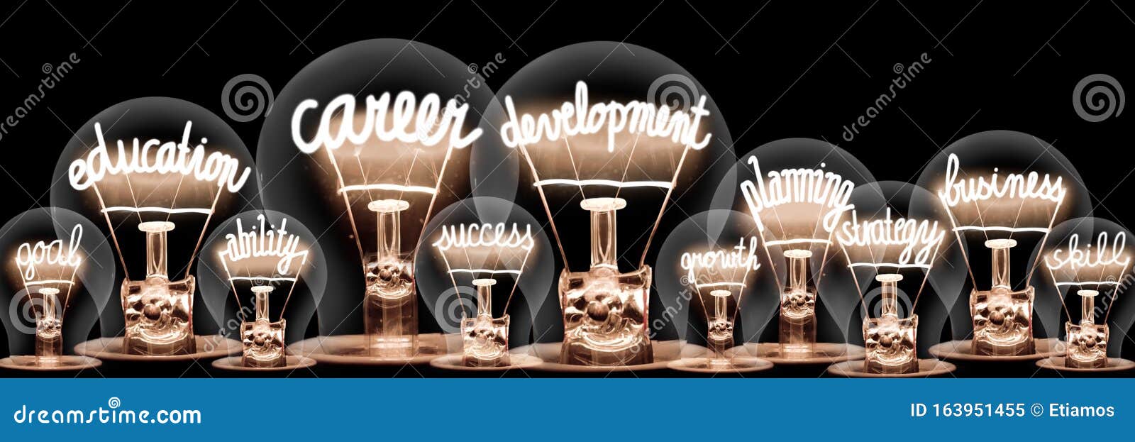 light bulbs with career development concept