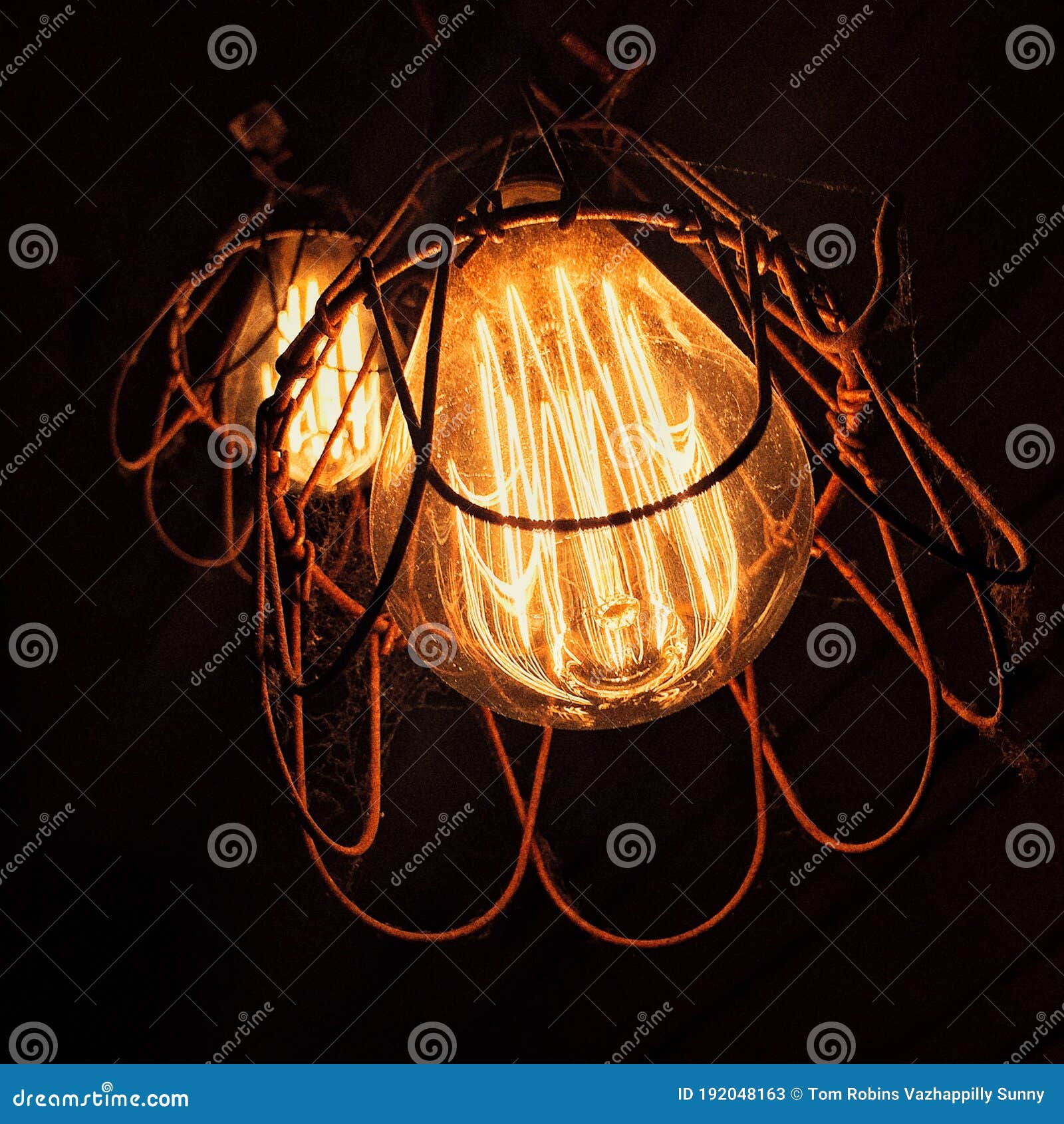 Light bulbs and filaments stock image. Image of lamp 192048163