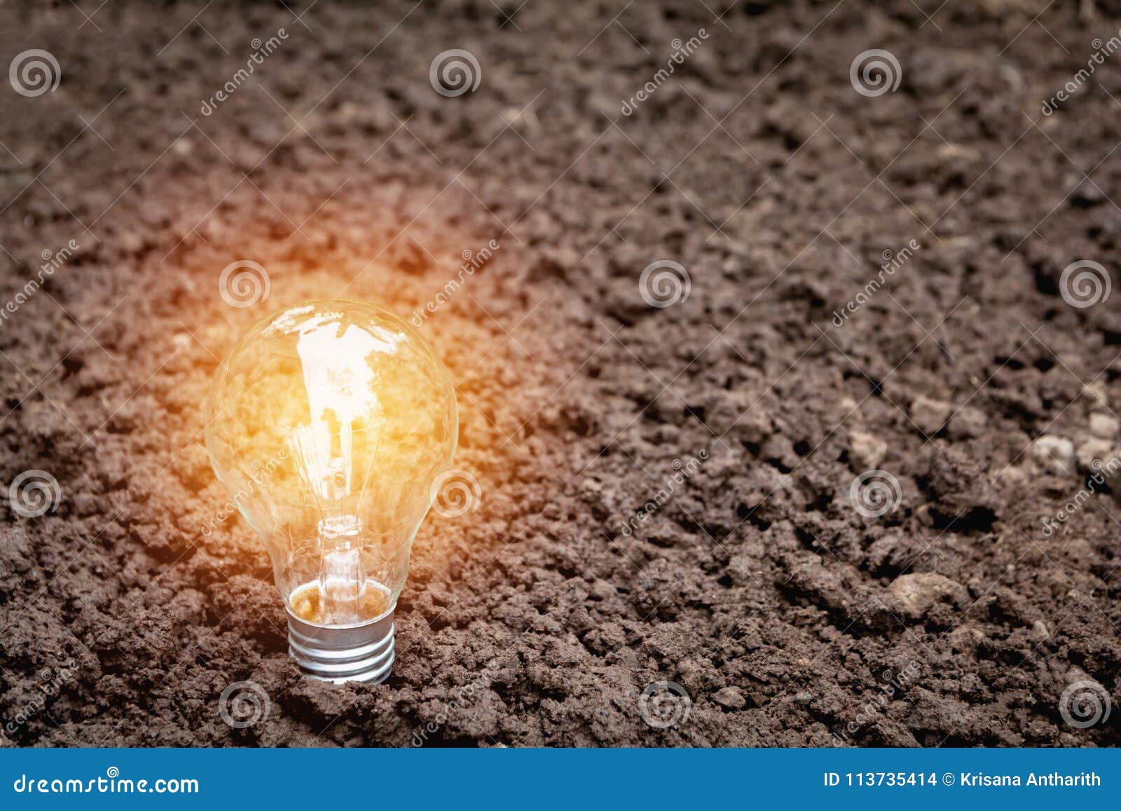 Light Bulbs with Glowing on Ground. Idea, Creativity and Saving Stock