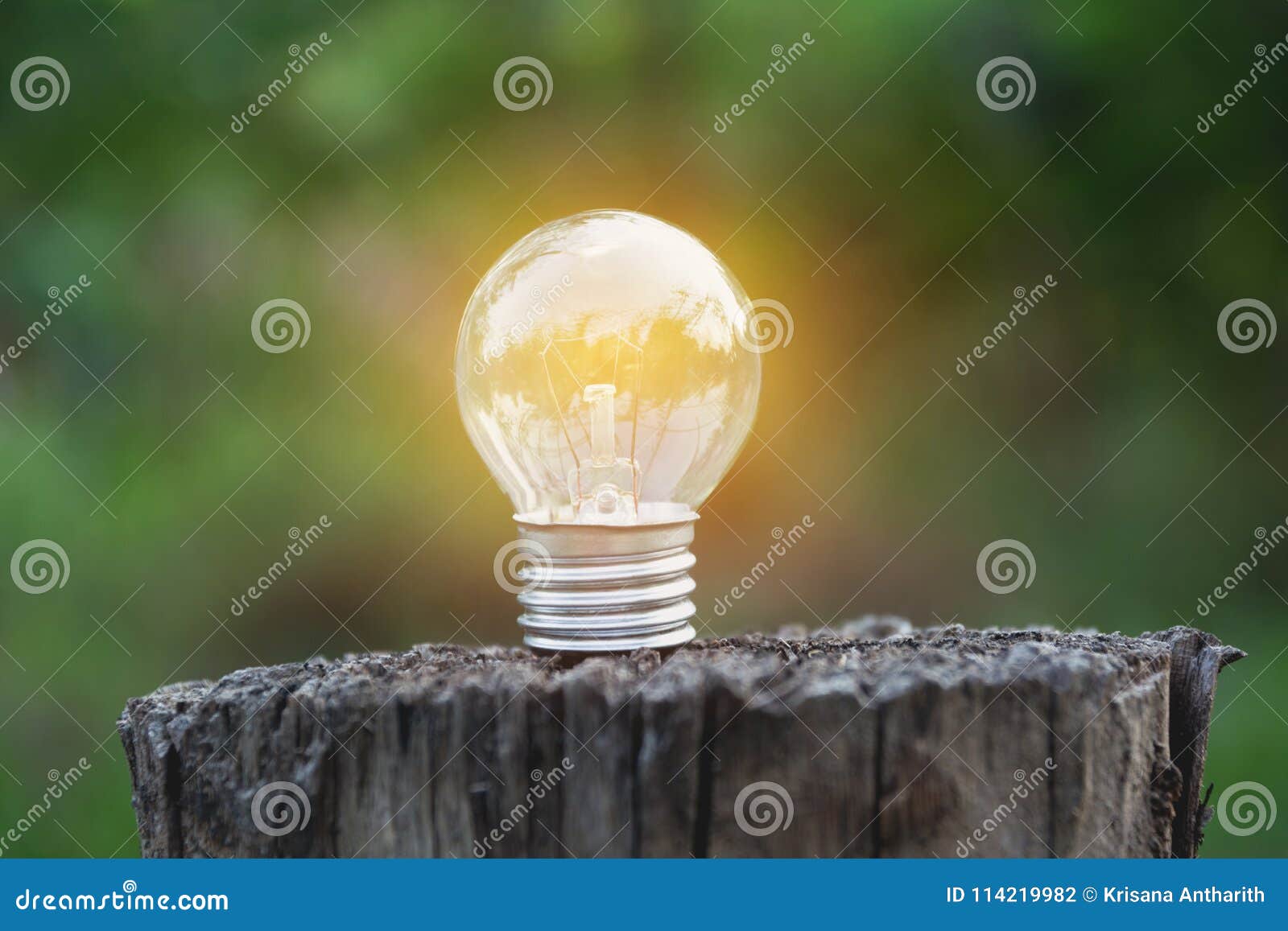 Light Bulbs with Glowing on Ground. Idea, Creativity and Saving Stock