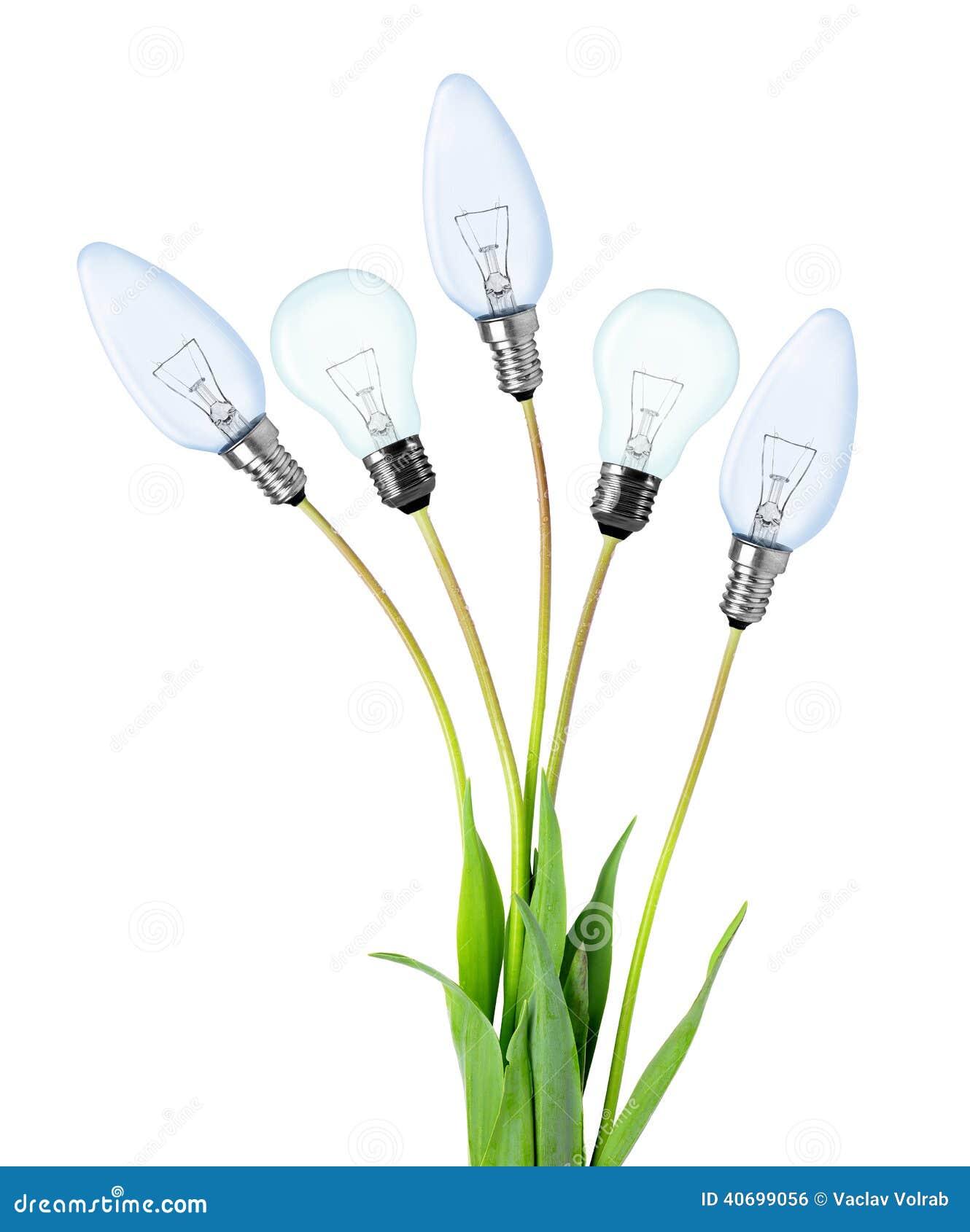 Light bulbs on plant stock photo. Image of natural, environmental