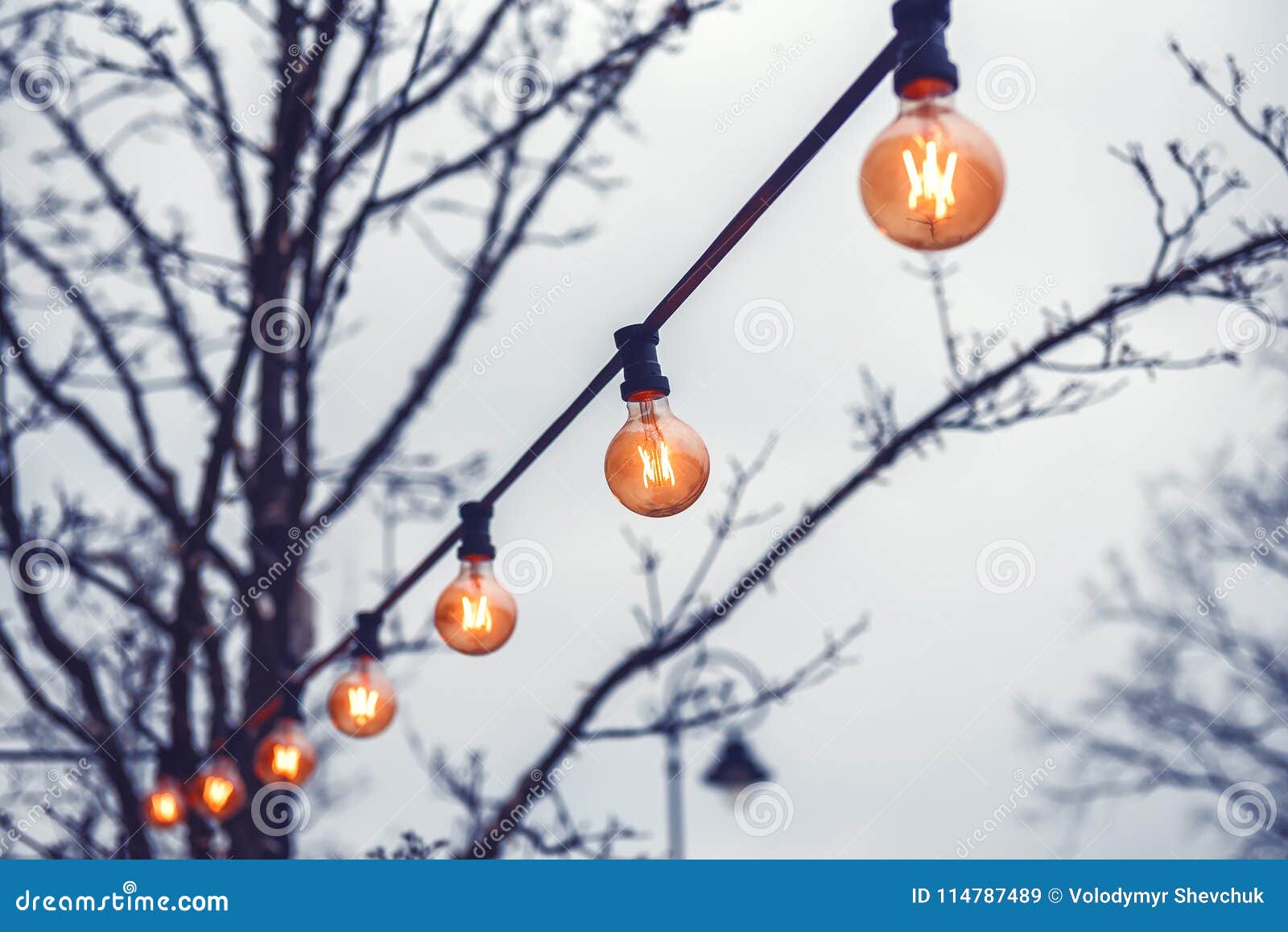 Light bulbs on the street stock image. Image of dark 114787489