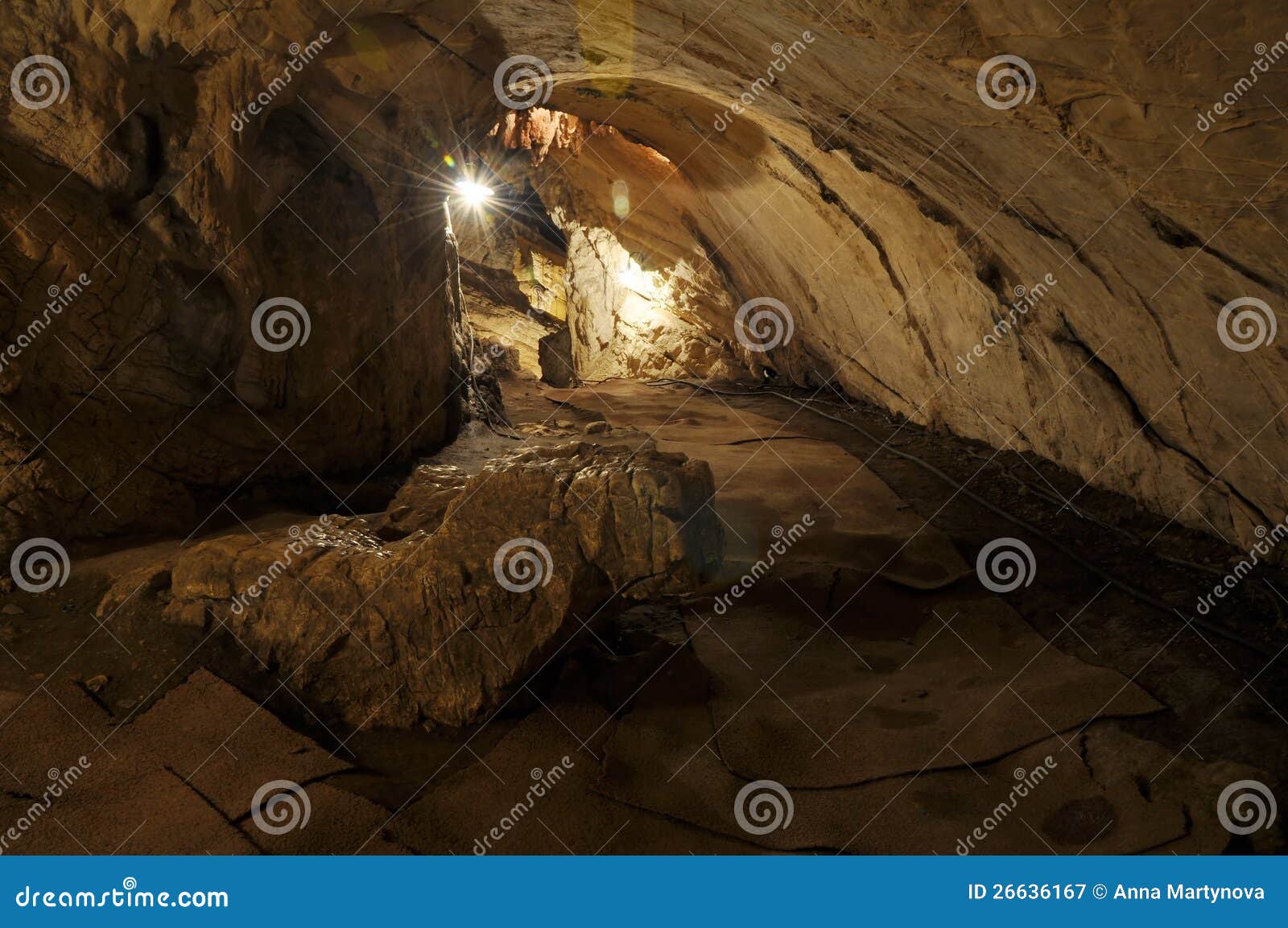the cave and the light the cave and the light