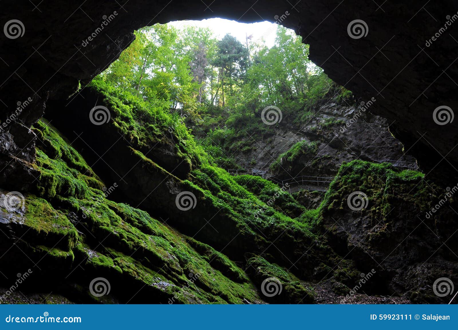 light in cave entrance