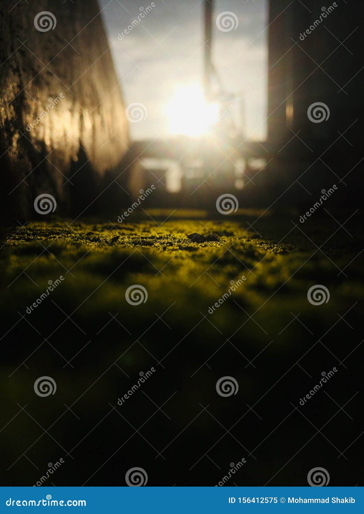 Light comes after darkness stock image. Image of peaceful - 156412575