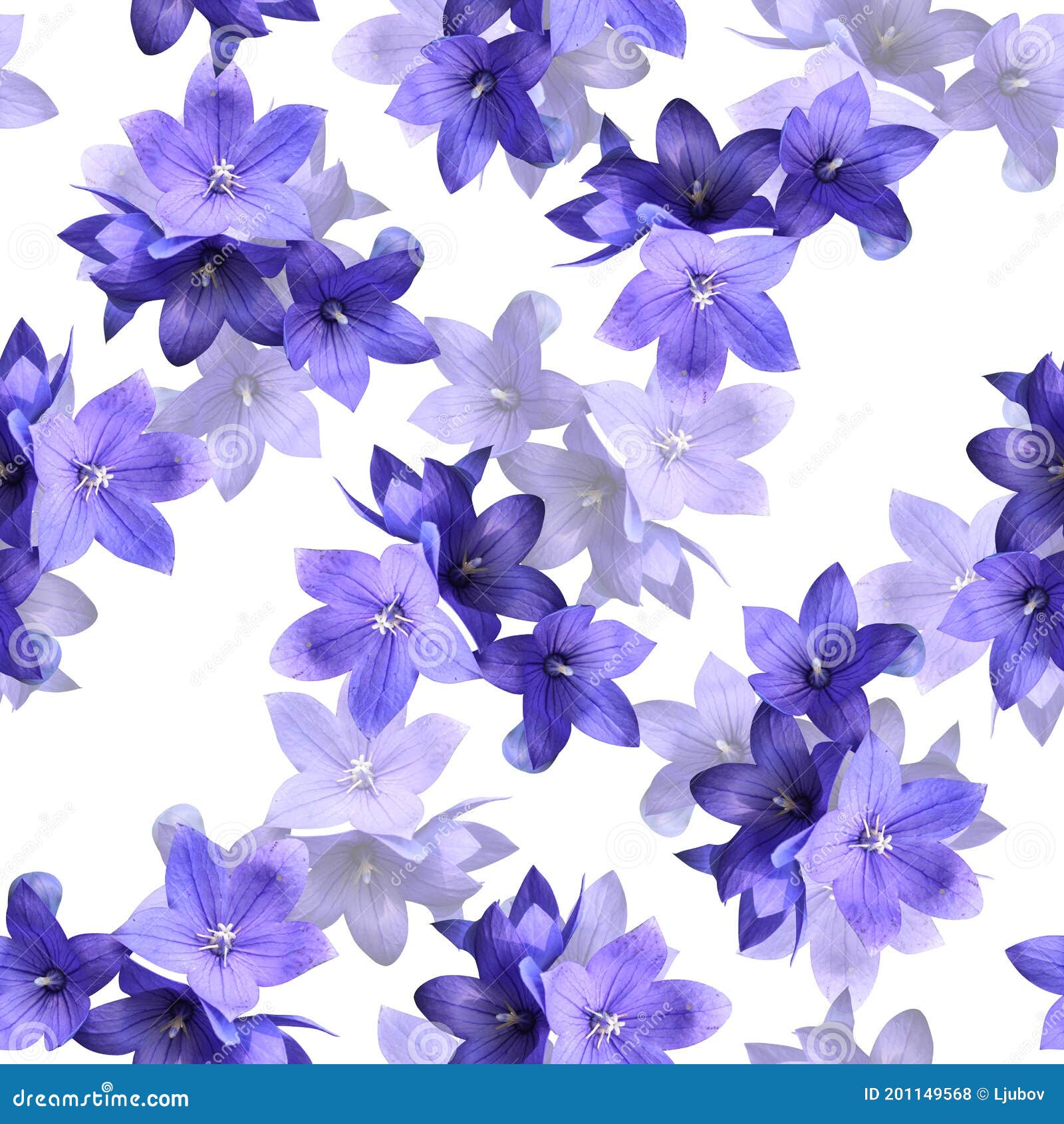 81 243 Light Purple Wallpaper Photos Free Royalty Free Stock Photos From Dreamstime