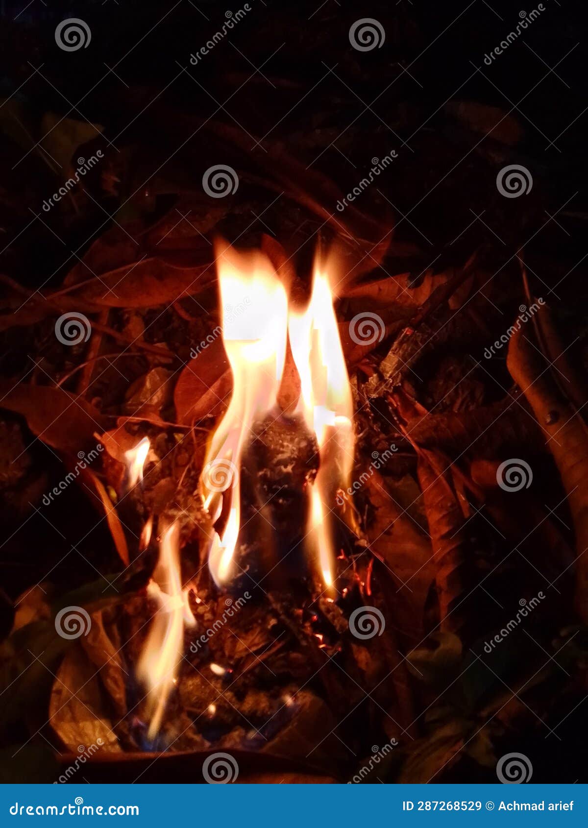 Light of Fire Burning by Dry Leaf Stock Image Image of leaf, burning