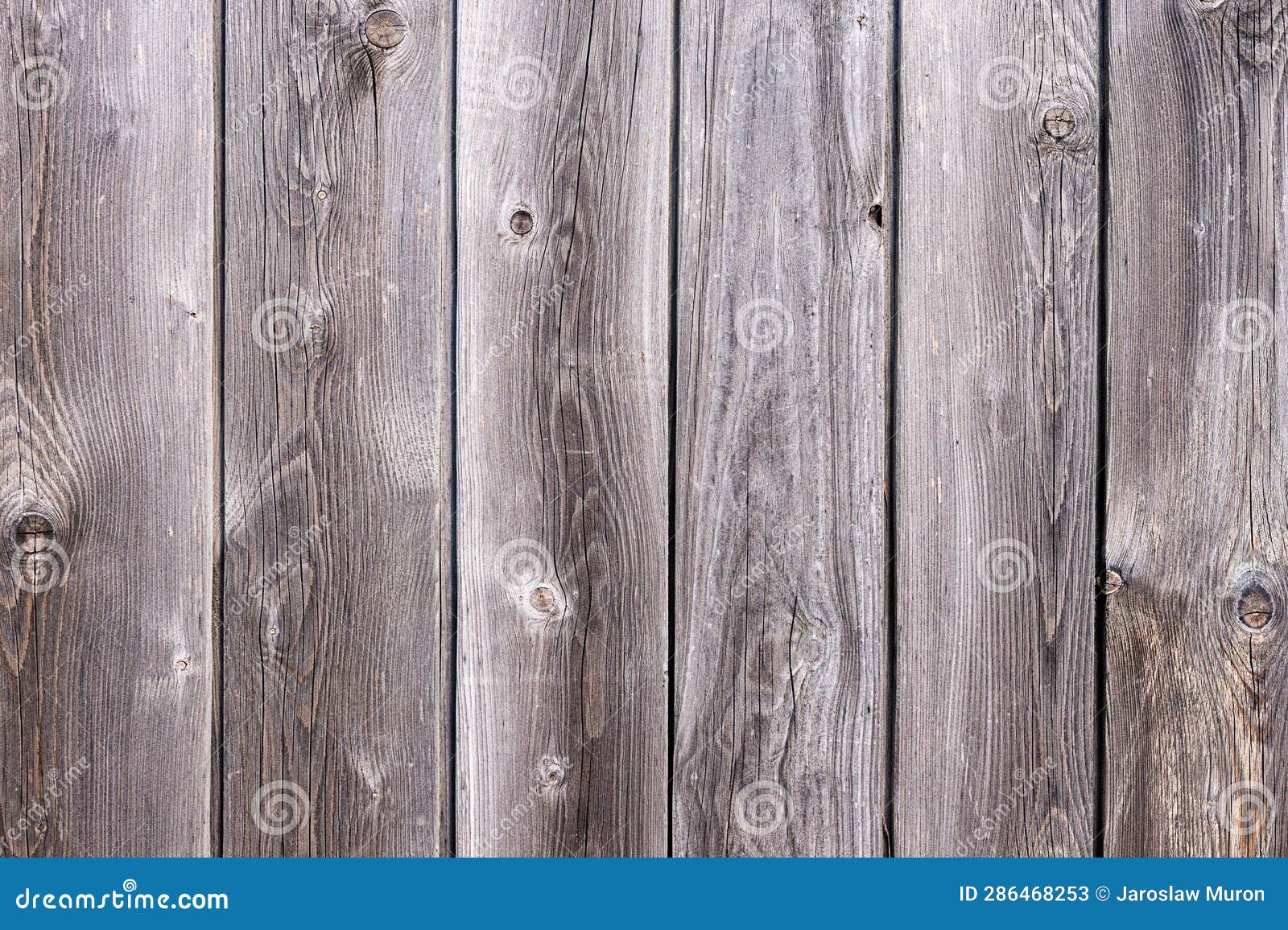 Light Gray Wooden Panels Wall Background Stock Image Image of panels, wooden 286468253