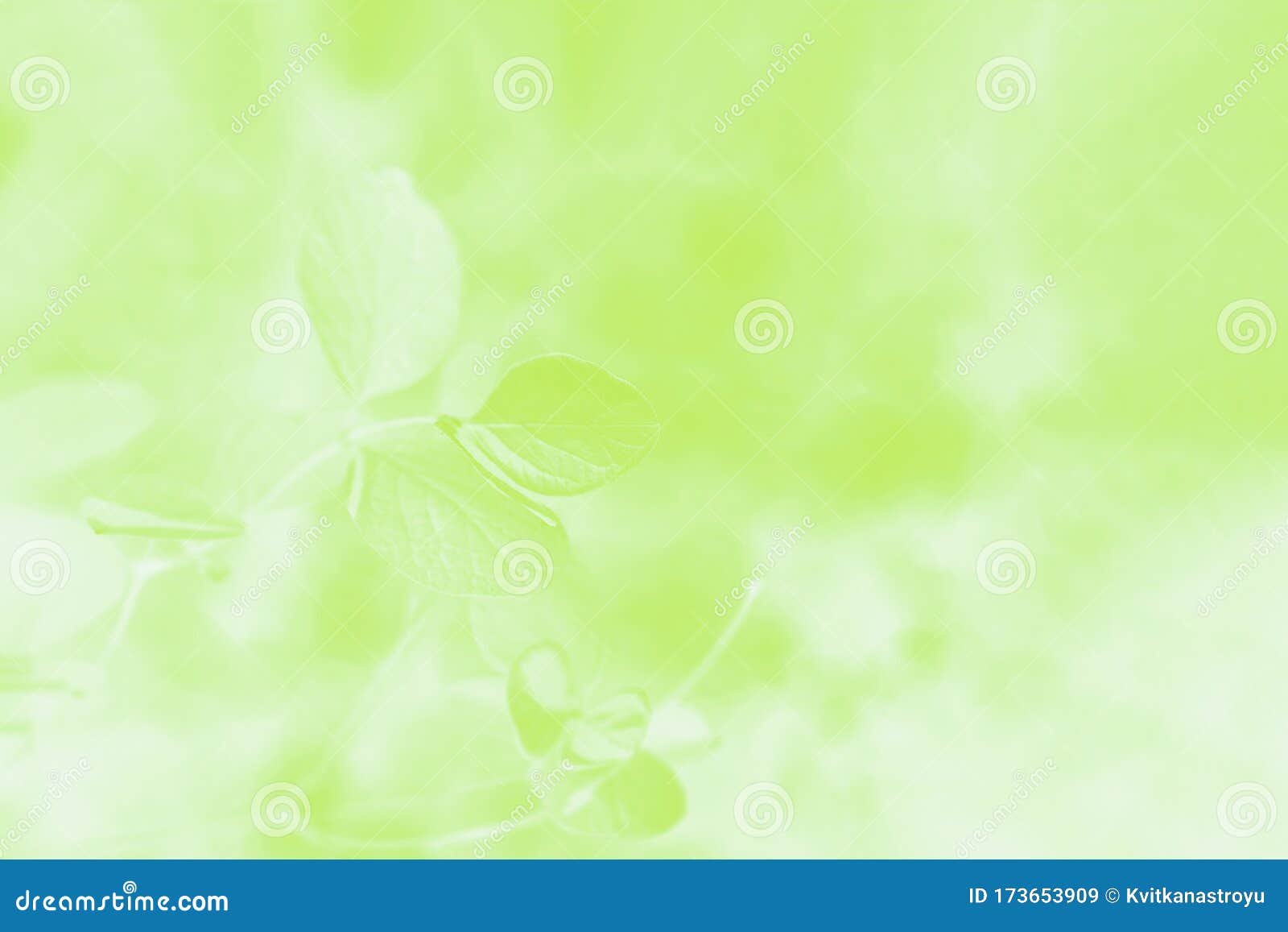 Nếu bạn muốn có một hình nền trừu tượng màu xanh lá cây đẹp mắt và đầy sức sống thì hãy xem hình ảnh liên quan. Với gradient màu xanh lá cây sang trọng và chi tiết hoa lá, nền trừu tượng này sẽ khiến bất kỳ ai nhìn thấy đều phải trầm trồ.
