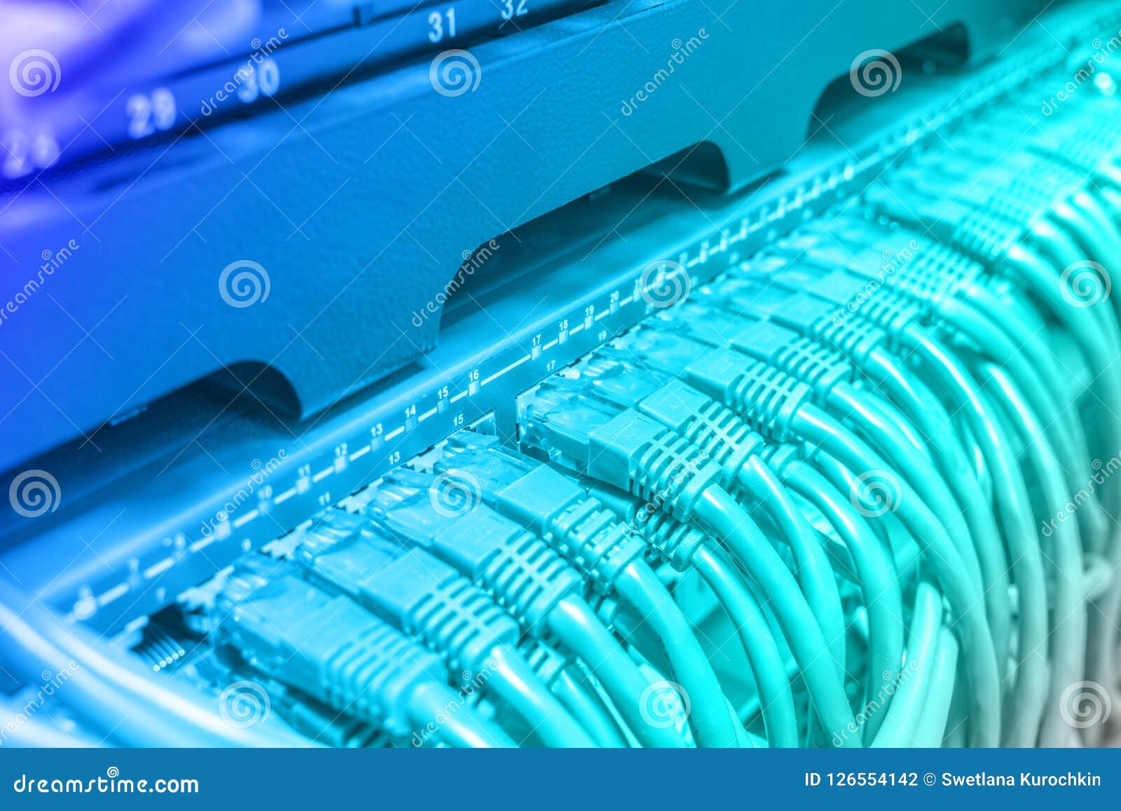 Light Green Patch Cord Cables Connected Stock Photo Image of
