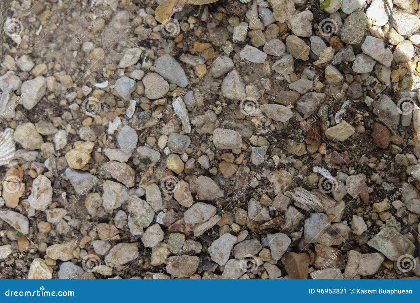 Light Grey Gravel (Pebble) Floor Texture, Top View, Pebbles Back Stock Image Image of nature