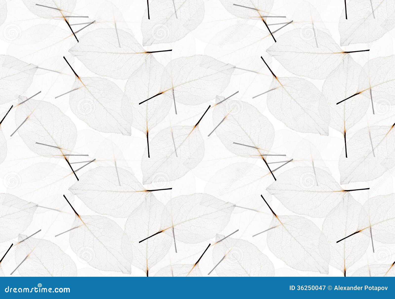 Light Grey Leaves Seamless Background Stock Image Image of abstract