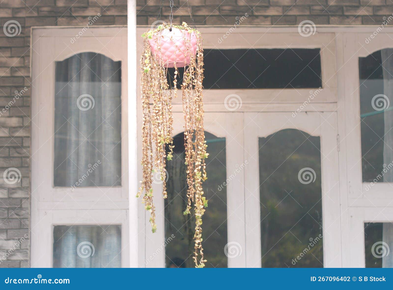 Light Hanging Lamp Planter with Decorative Flower in the House Balcony Stock Photo Image of