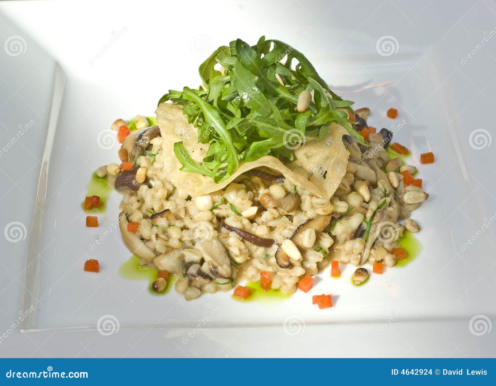 Light lunch risotto stock photo. Image of restaurant, modern 4642924