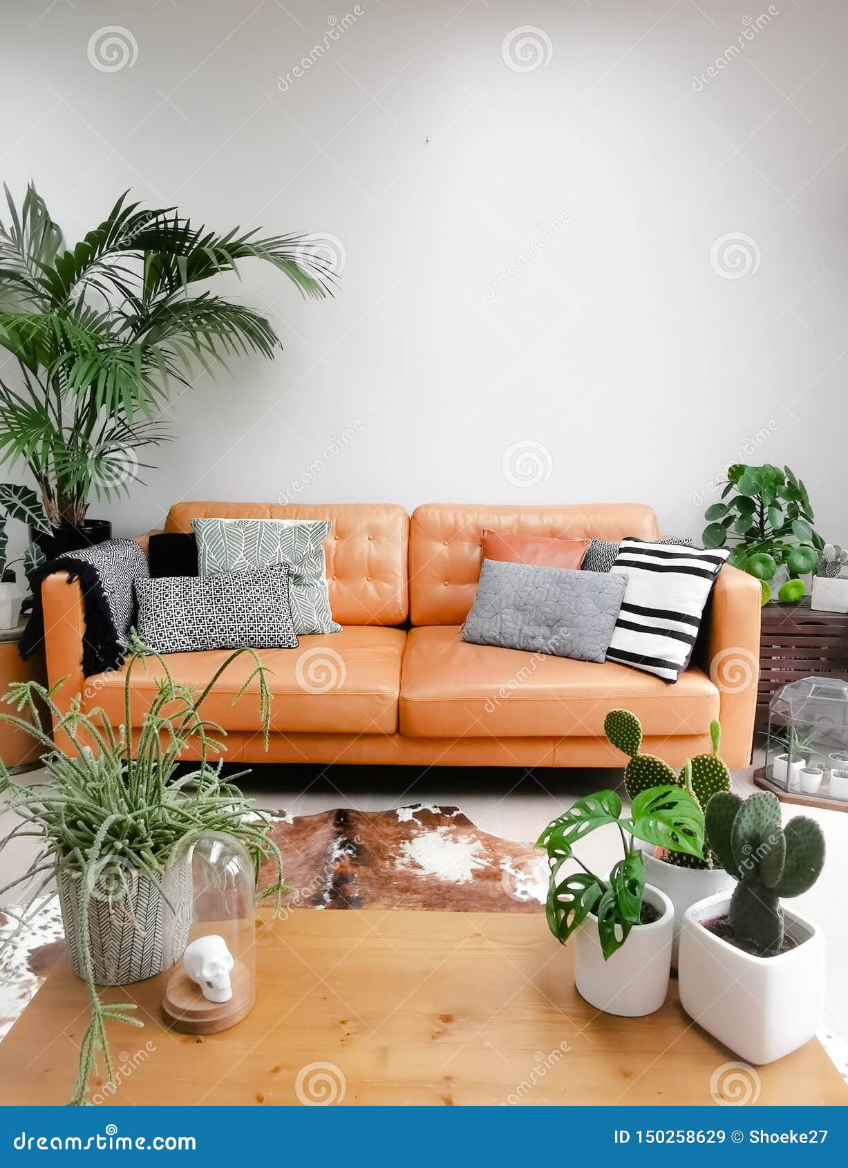 Light Modern Living Room With Brown Leather Couch Cowhide Rug And