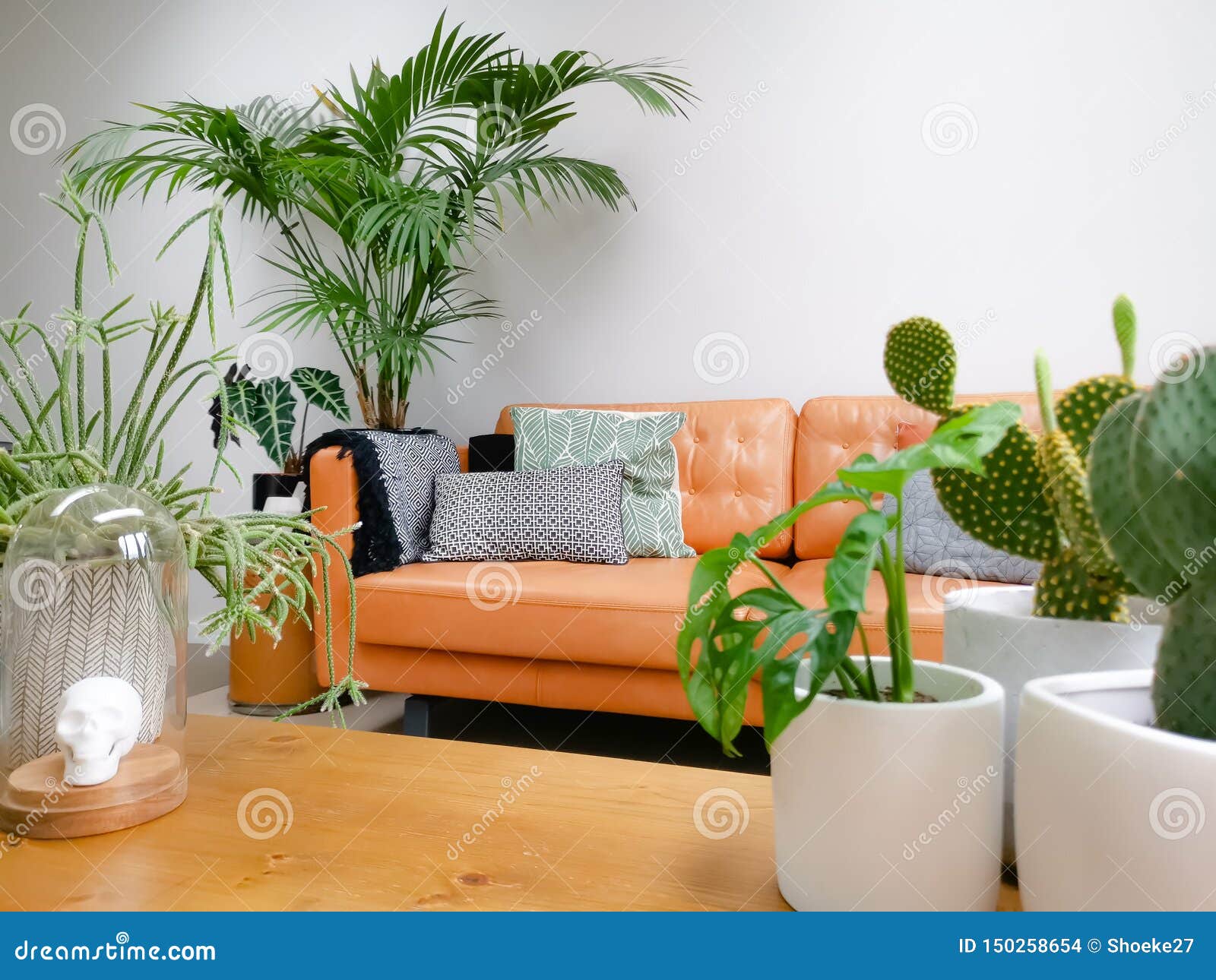 light modern living room with brown leather couch and numerous green houseplants creating an urban jungle