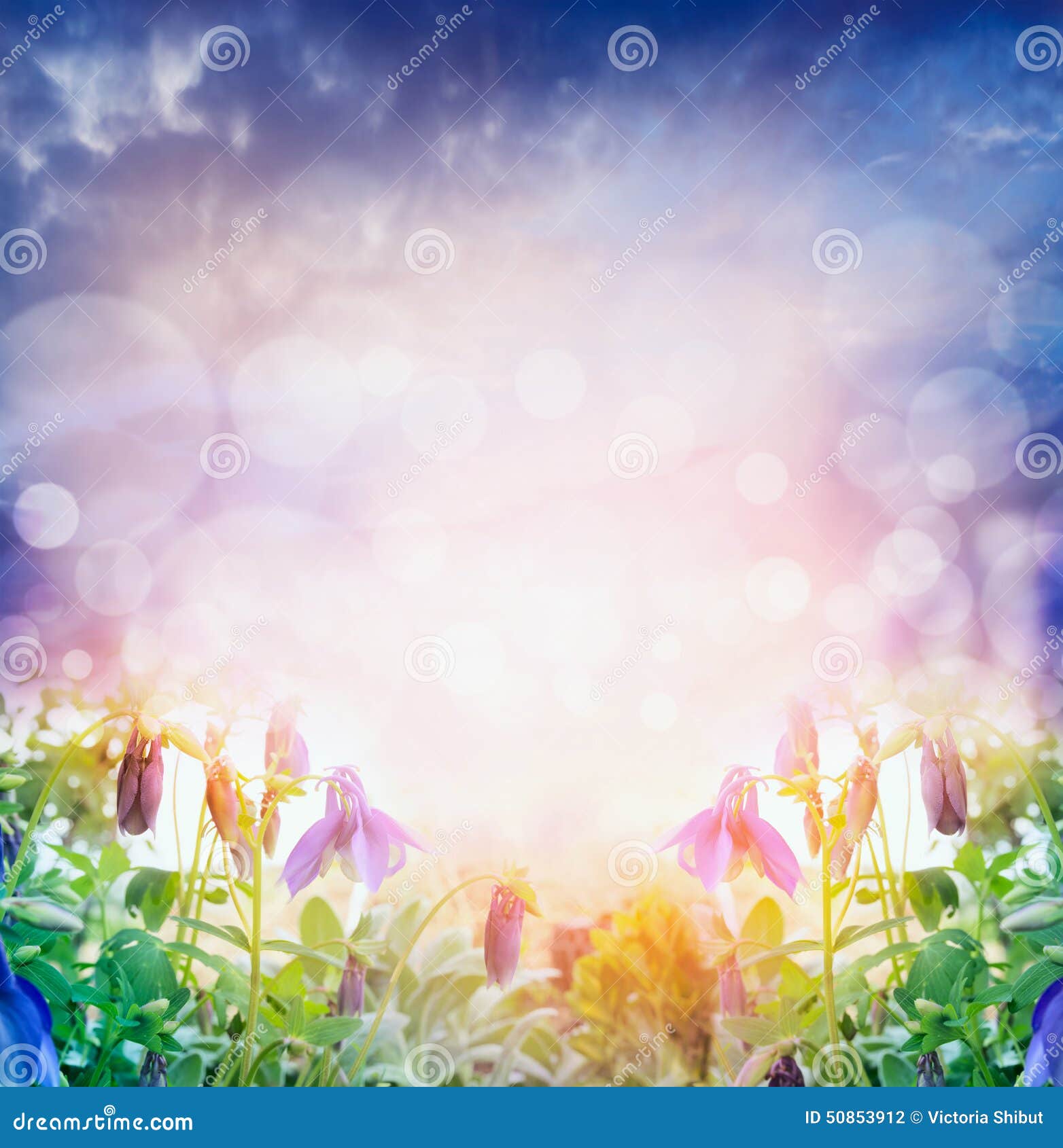 Light Nature Background With Summer Flowers Over Bokeh Stock Photo