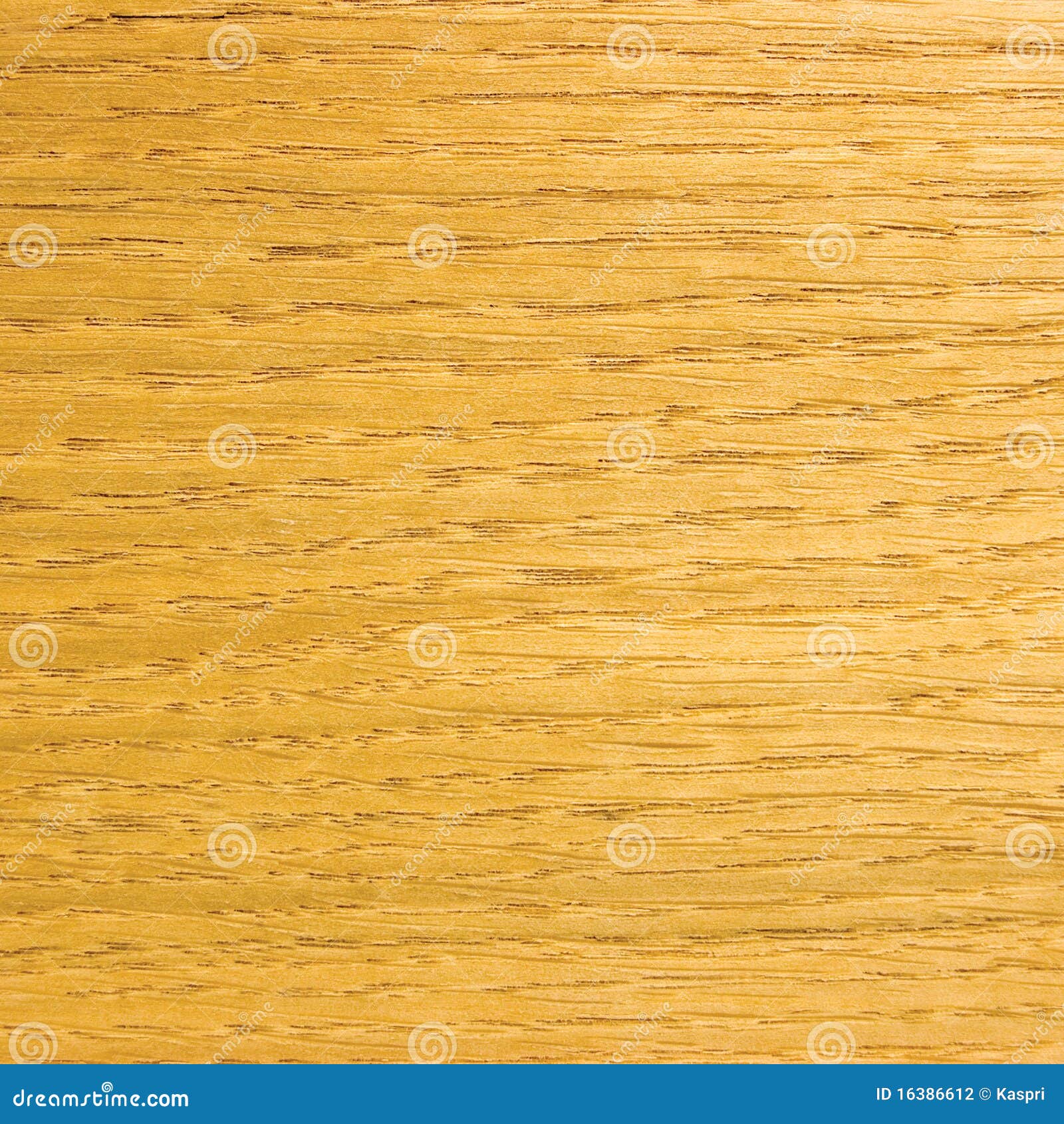 Golden Oak Veneer RoyaltyFree Stock Photo 7817277