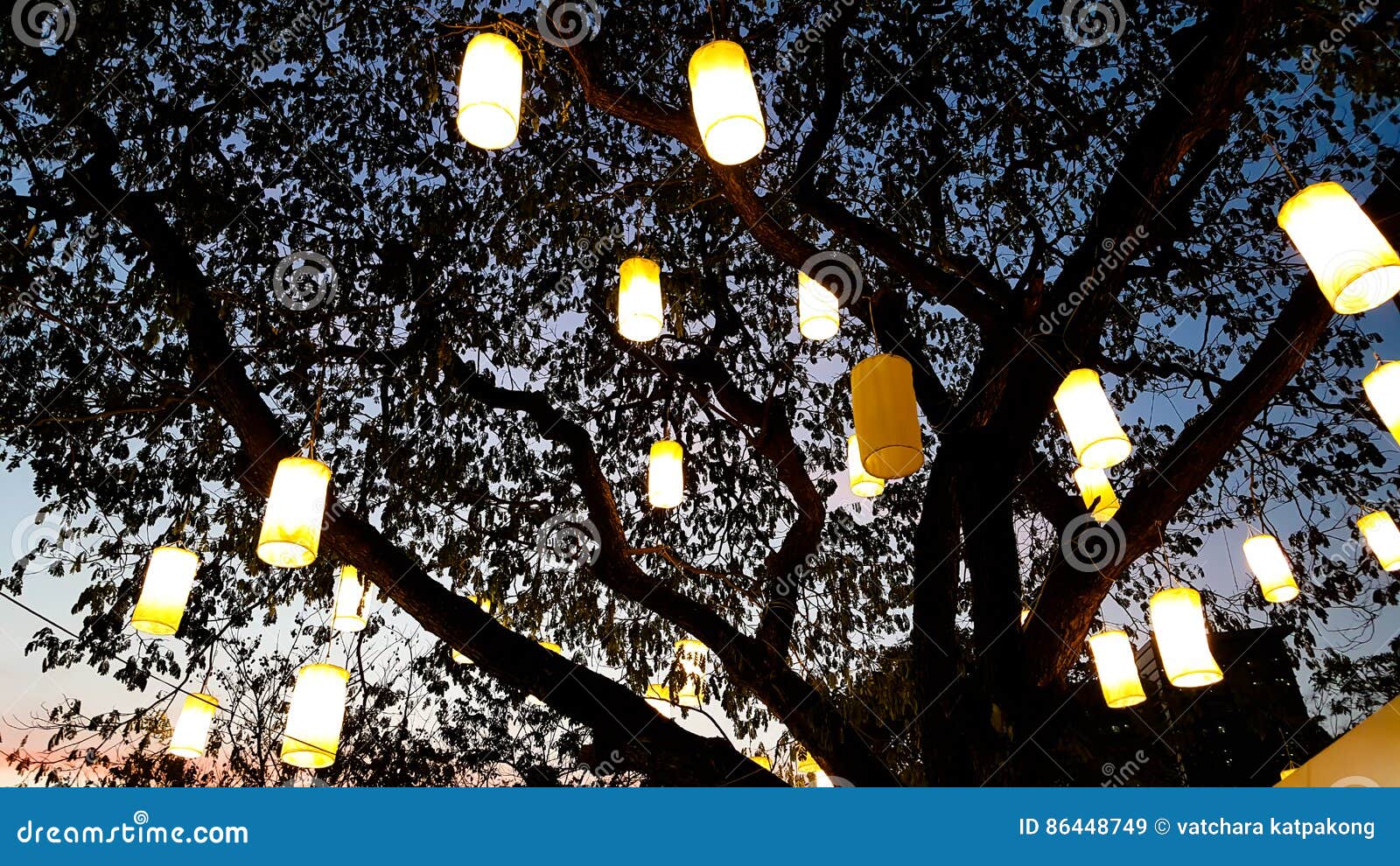 Light of Paper Lantern Decorating on Tree at Night Stock Image Image