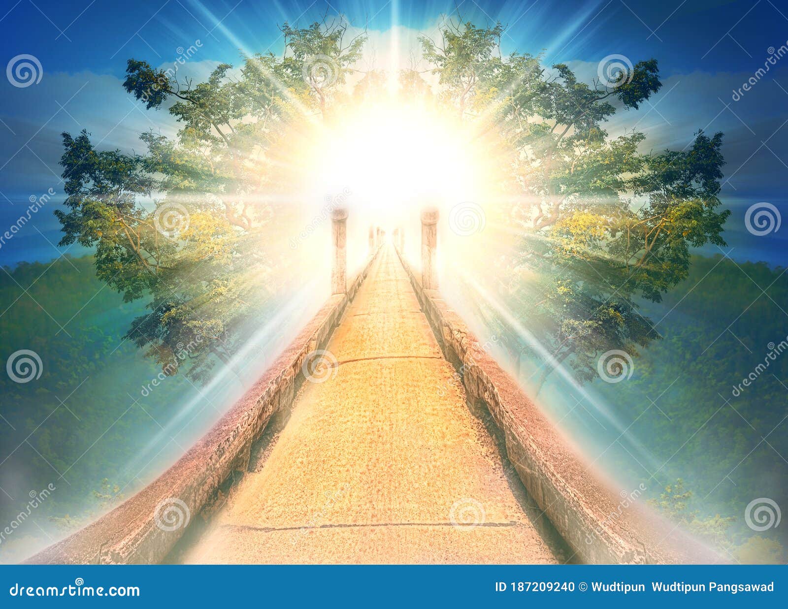 Light Rays and Tree for Background Abstract Believe for GOD Stairs To Heaven Stock - Image of phenomenon, concepts: 187209240