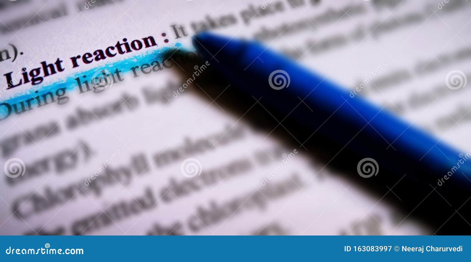 Light Reaction Text Displayed on Blue Underline Text from Stock Image