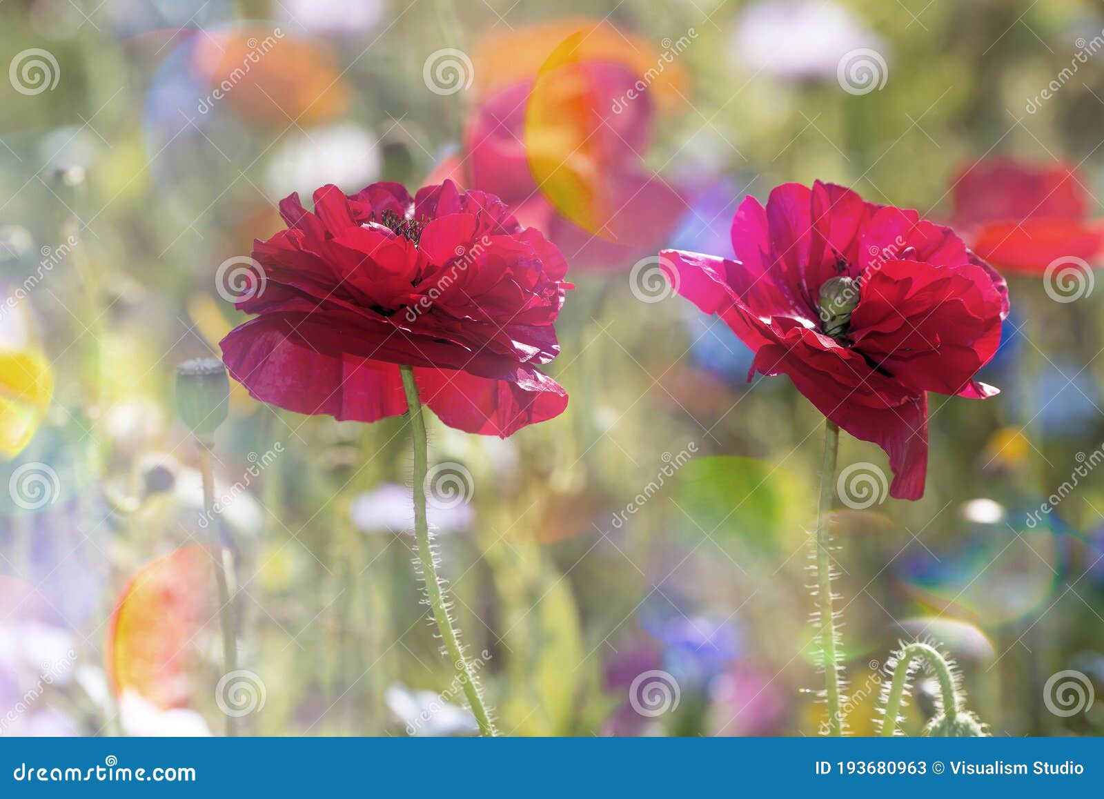 Light Red Flower Summer Flowers and Green Leaf Tropical Pattern on Blue