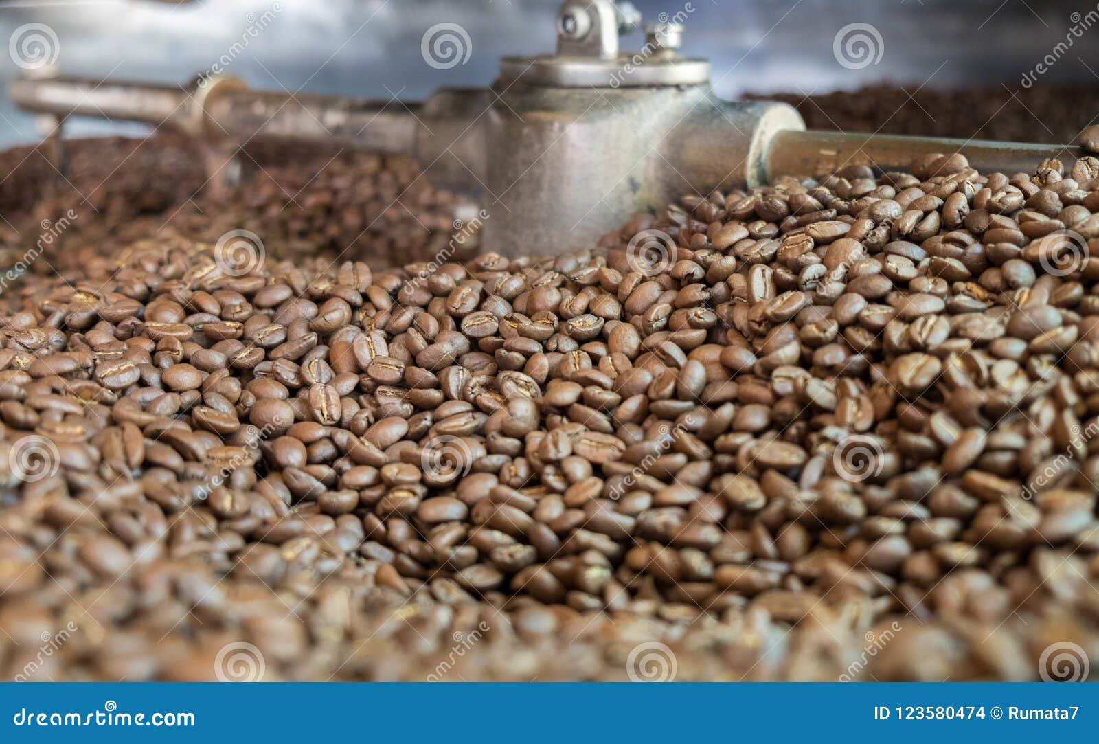 Light Roasted Coffee Beans in a Coffee Roaster Stock Photo Image of