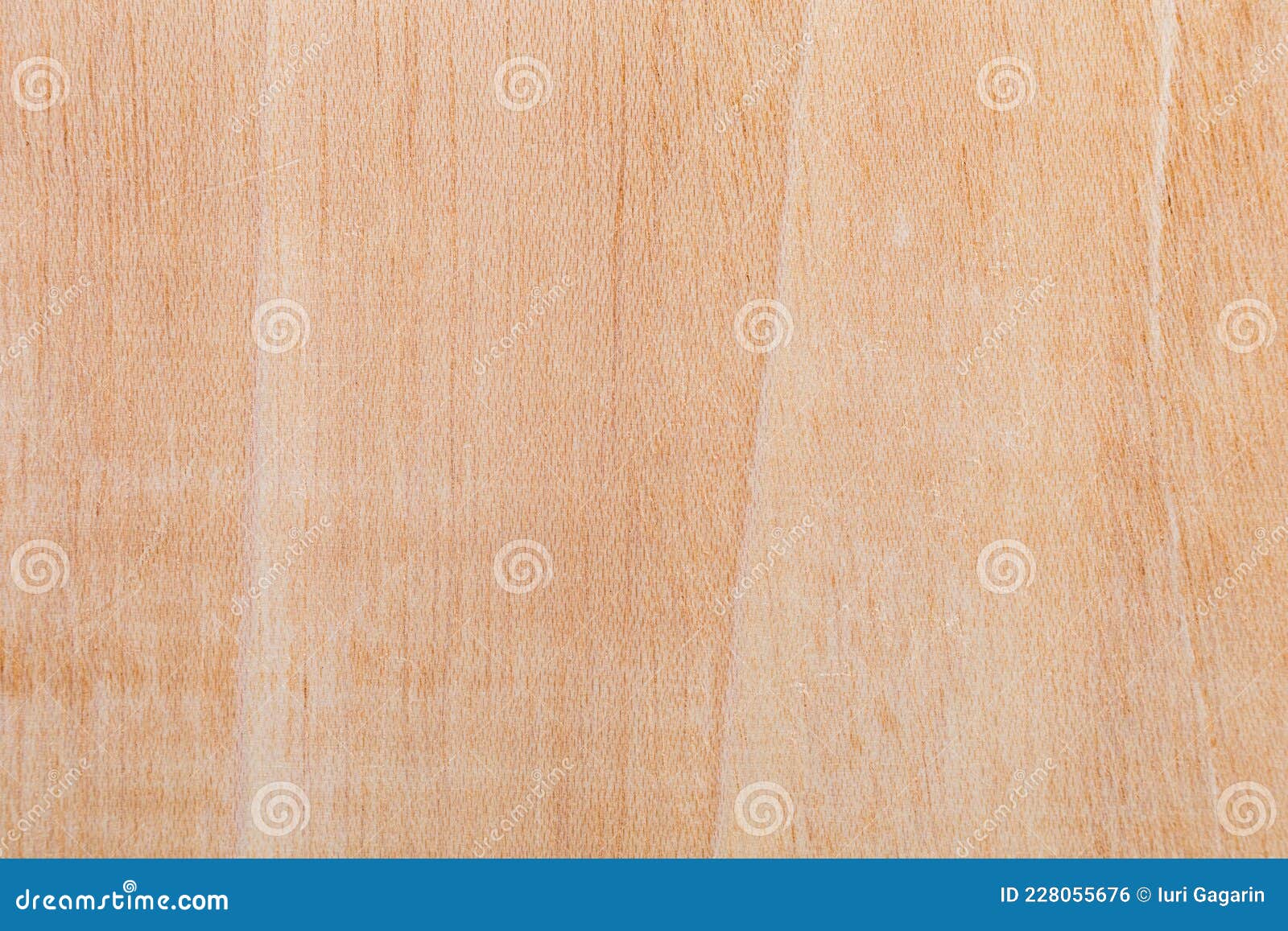 light rough textured cut surface of an african tree. wood background or blank for 