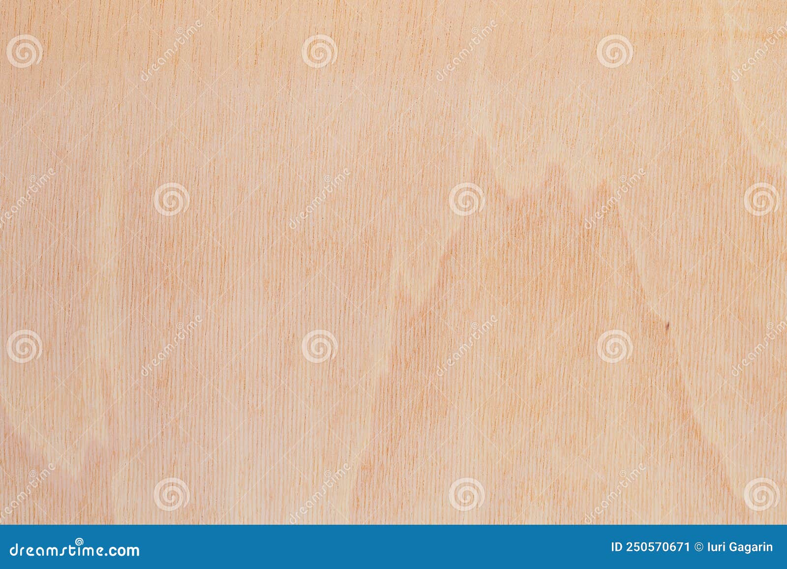 light rough textured cut surface of an african tree. wood background or blank for 