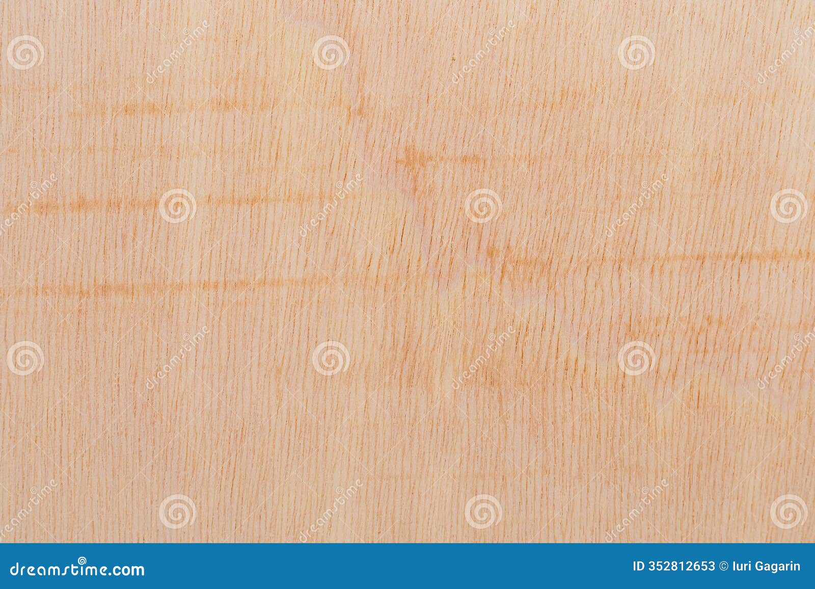 light rough textured cut surface of an african tree. wood background or blank for 