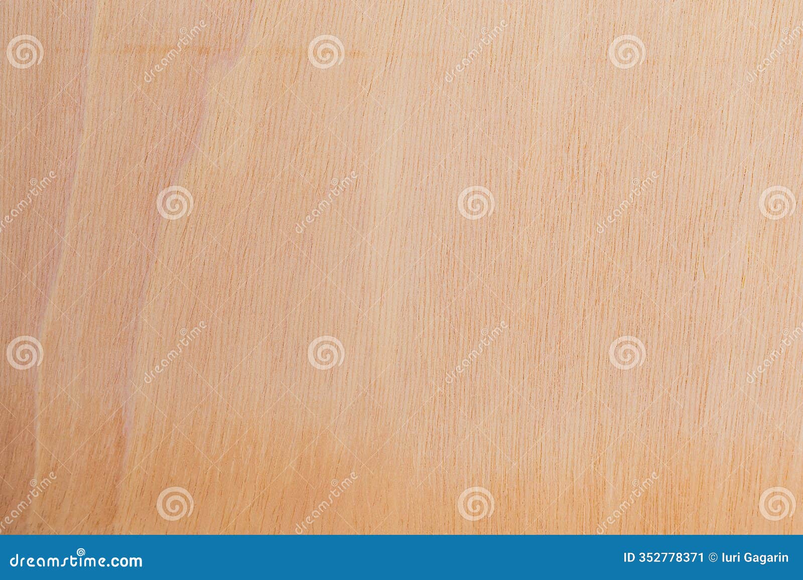 light rough textured cut surface of an african tree. wood background or blank for 