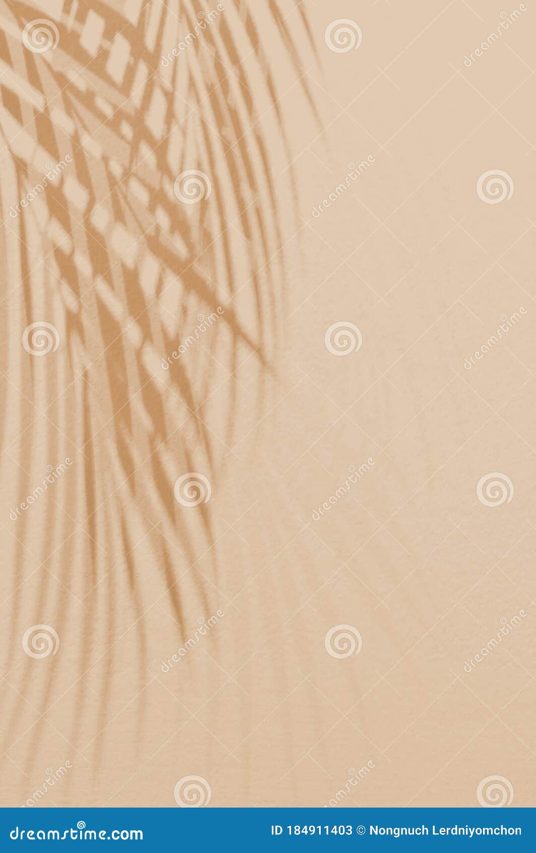 light and shadow green leaves,palm leaf on sand color grunge wall concrete background.silhouette flat lay abstract tropical leaf n