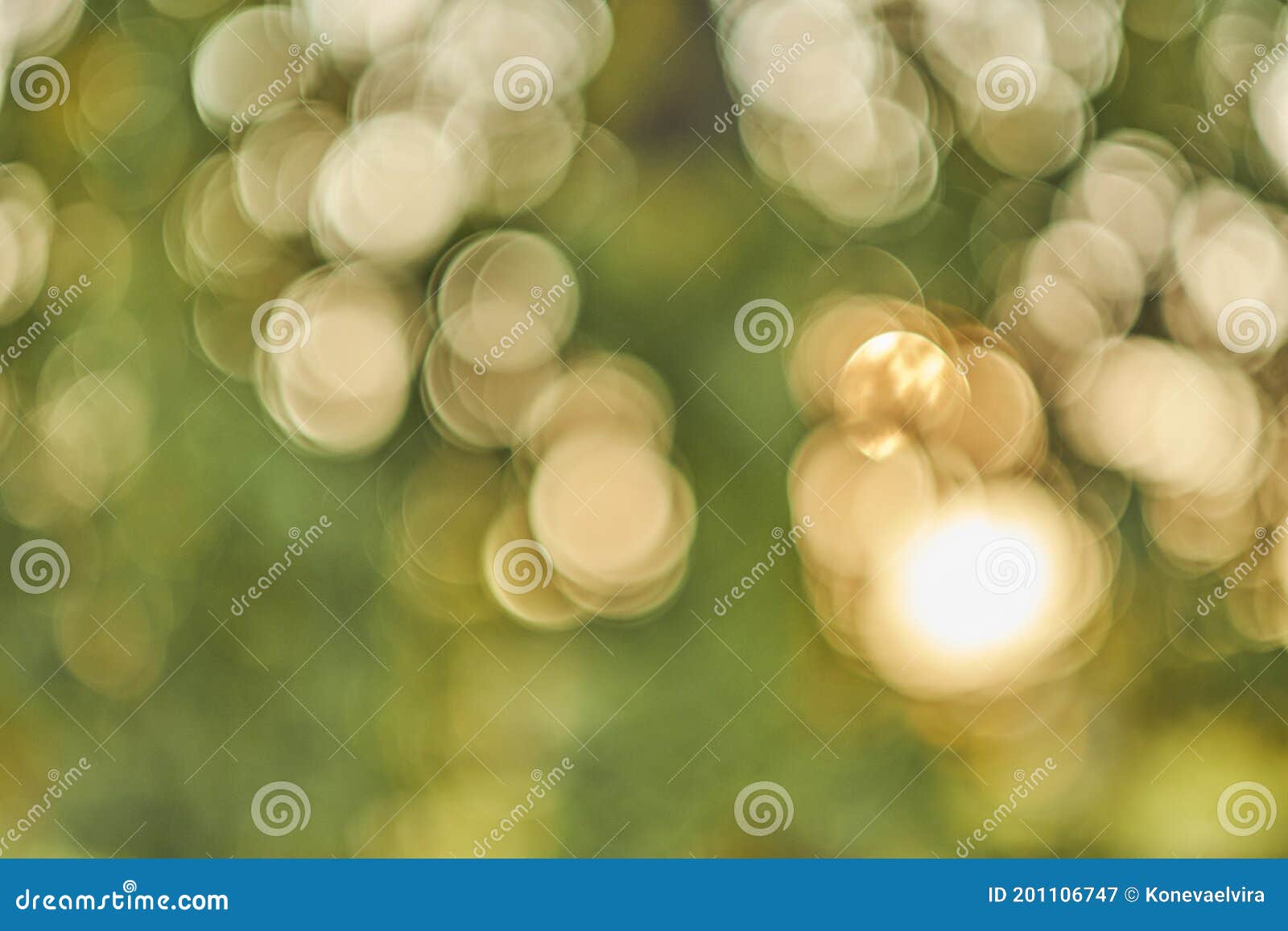 Light Shining on Tree Leaves. Autumn Foliage, Light Passes through the