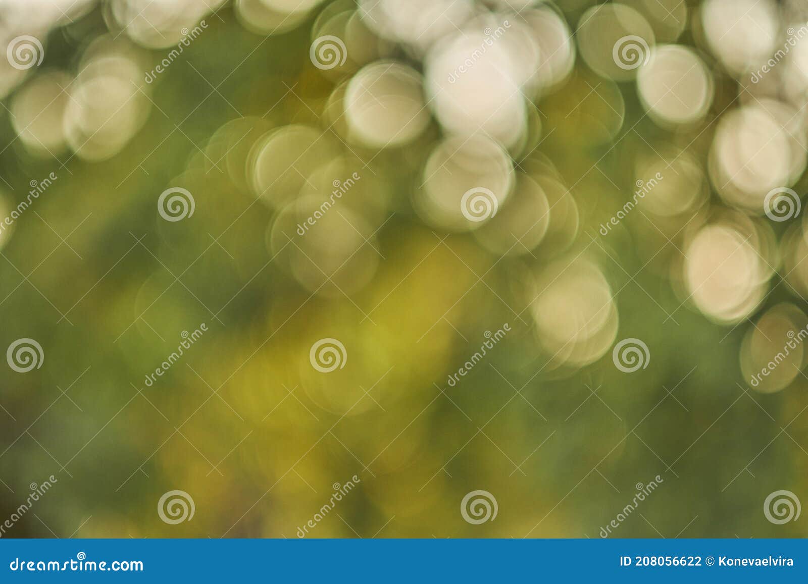 Light Shining on Tree Leaves. Autumn Foliage, Light Passes through the