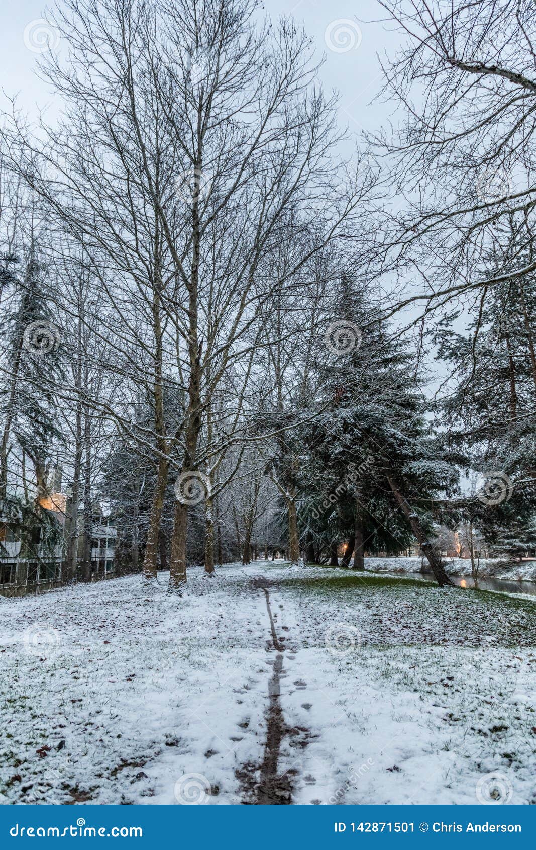 Light Snow in Redmond WA with a Single Line Drawn in the Snow in the