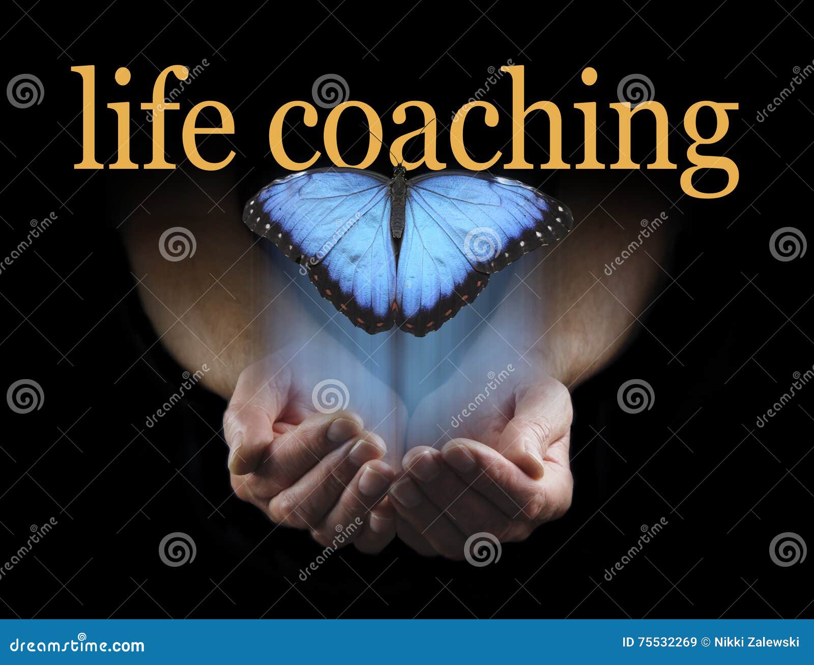 the light touch of a life coach